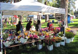flower vendor
