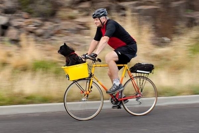 s_bob-wenger-biking-yellow-600x400