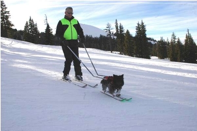 s_bob-wenger-skiing-600x400