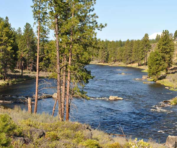drt-river-south-600px.jpg