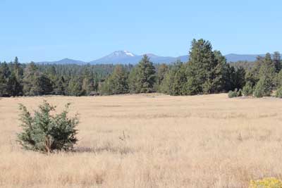 s_riley-ranch-meadow-400px