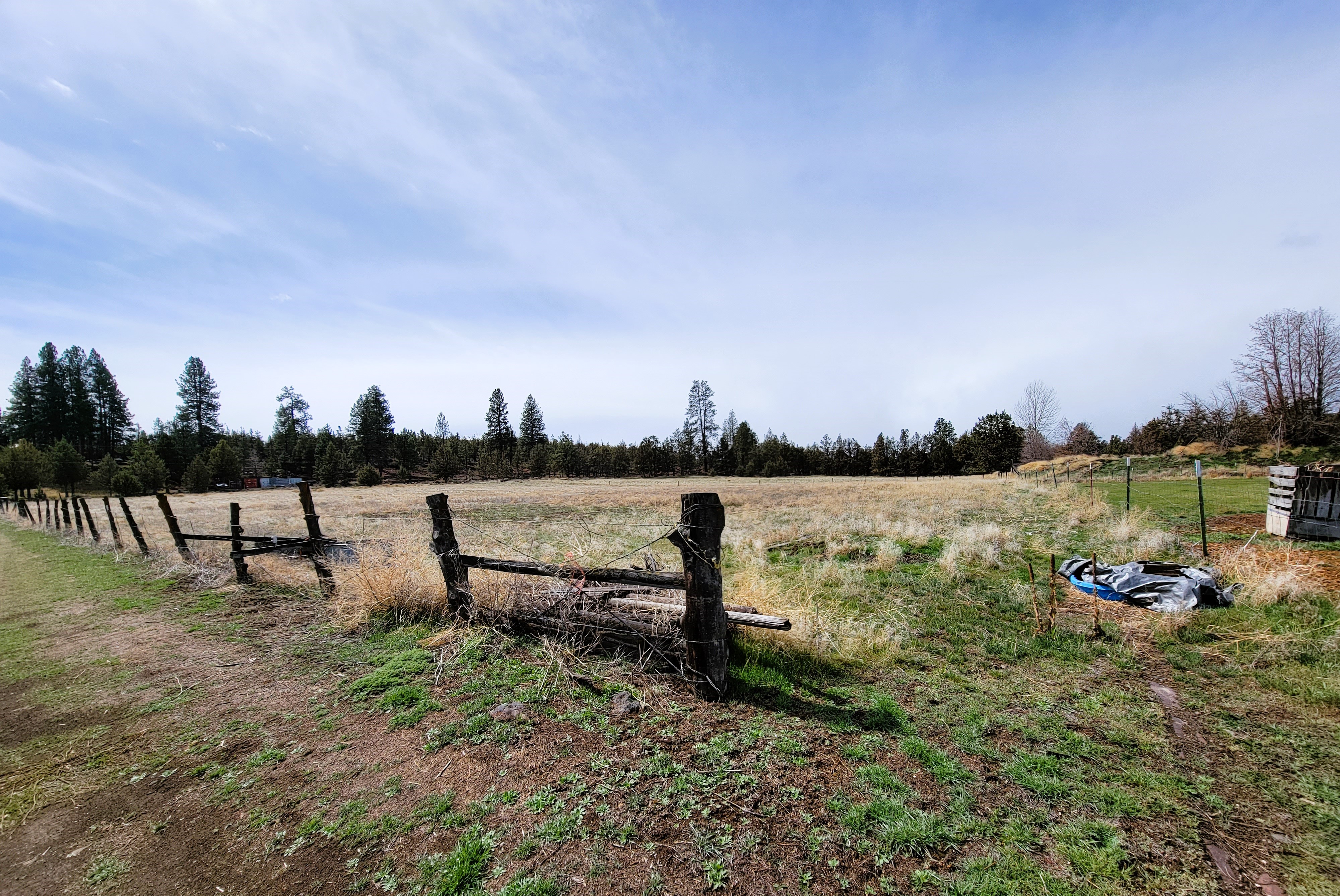 views of tillicum ranch fields