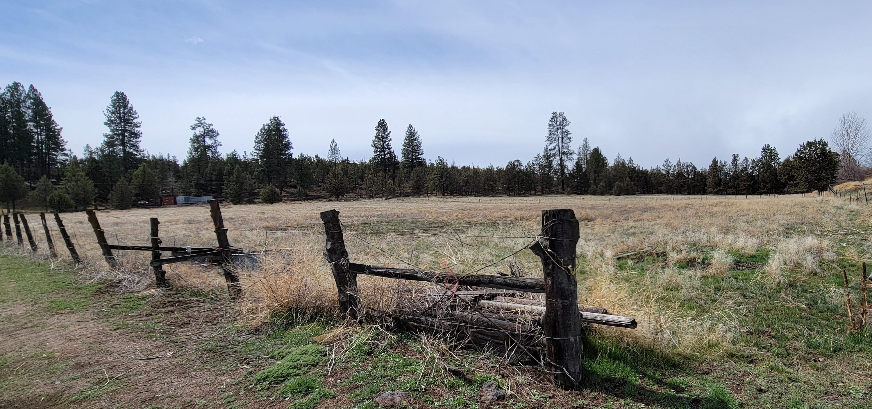 an open field at Tillicum Park