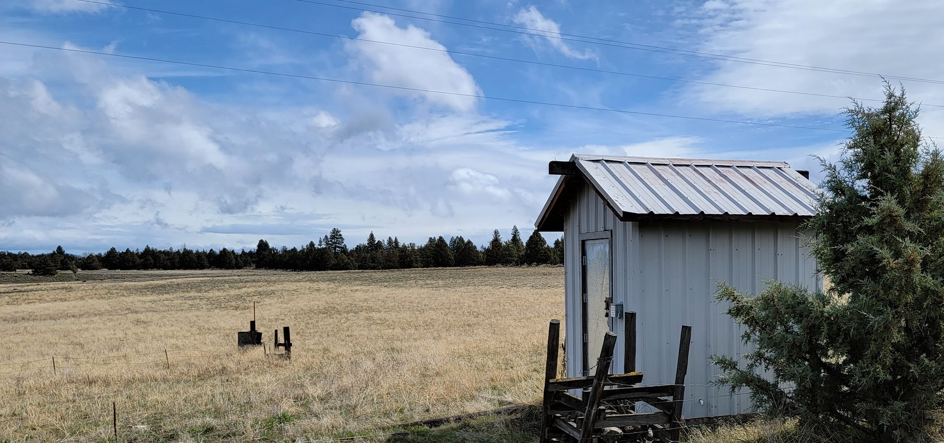 Tillicum Ranch fields