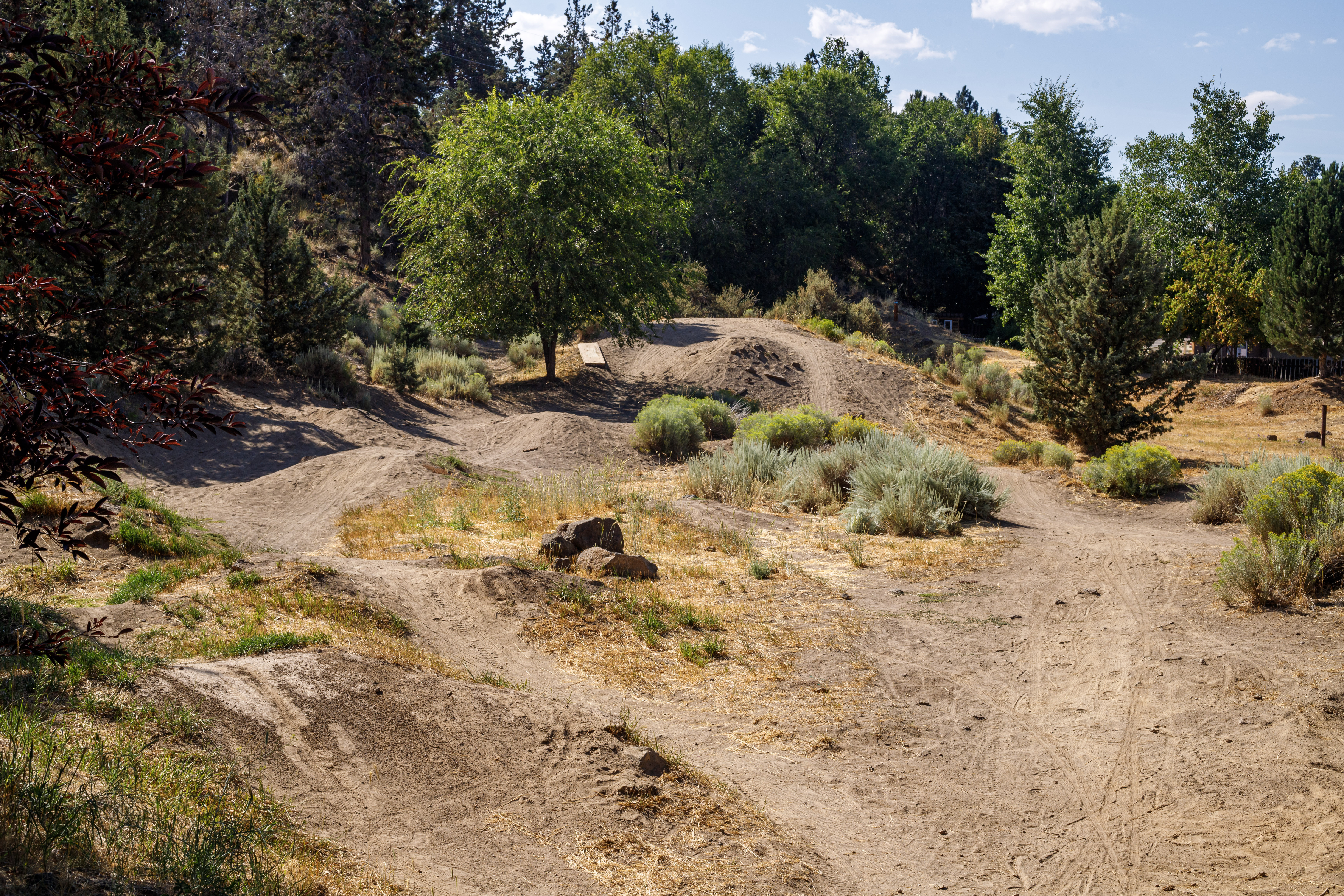 the wildside play area at al moody park