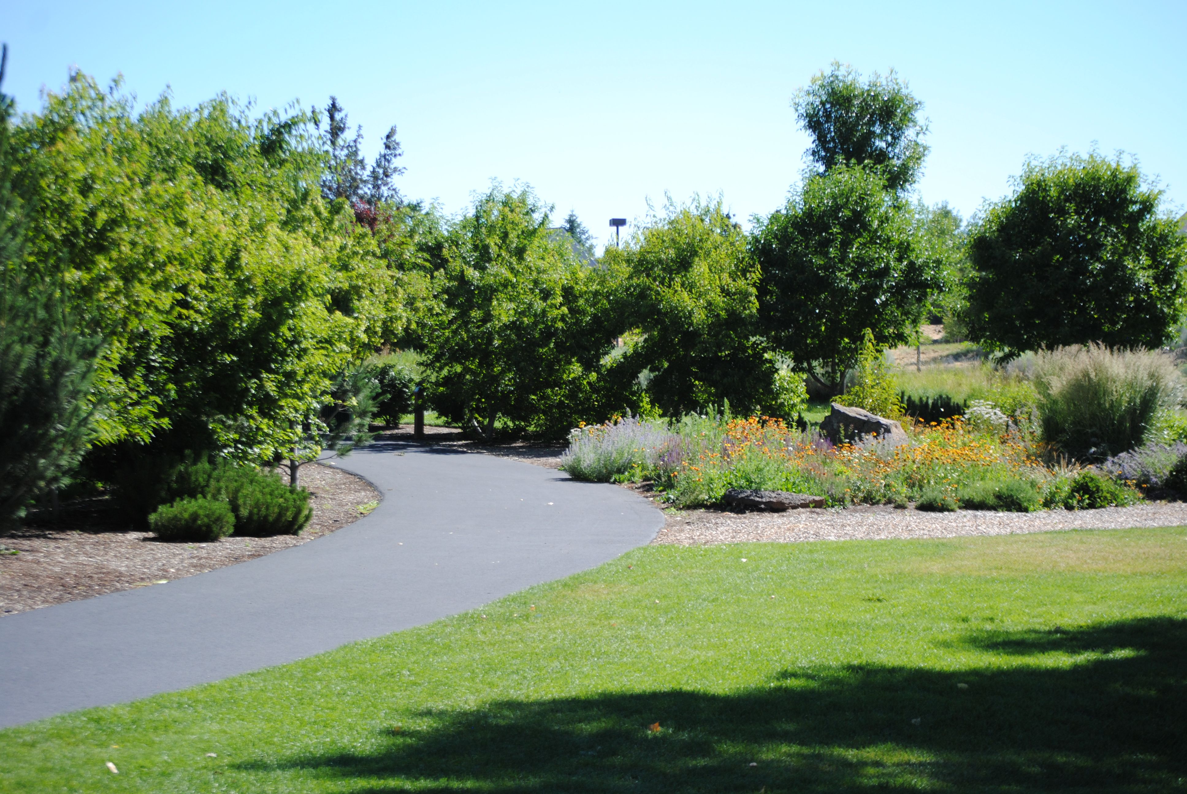 a paved pathway through the landscaping at al moody park