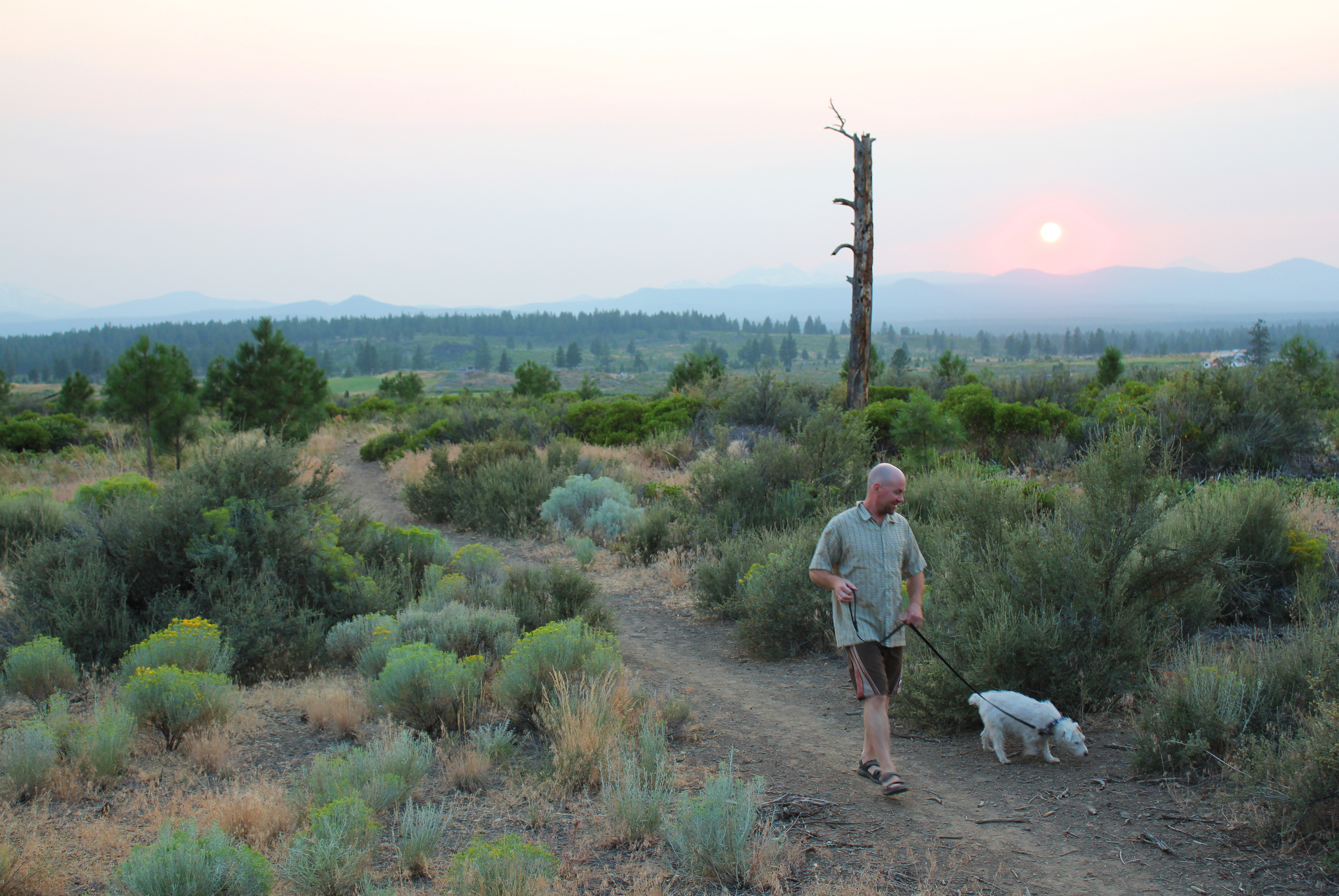 A man walking his dog on a trail at Alpine Park.