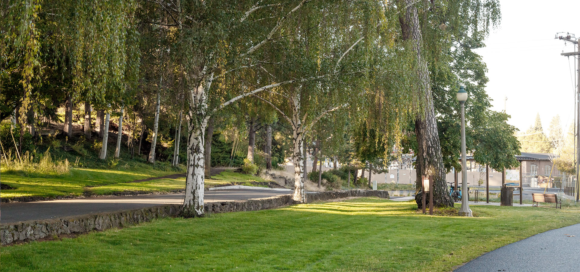 Aspen trees and grassy area at Pacific Park