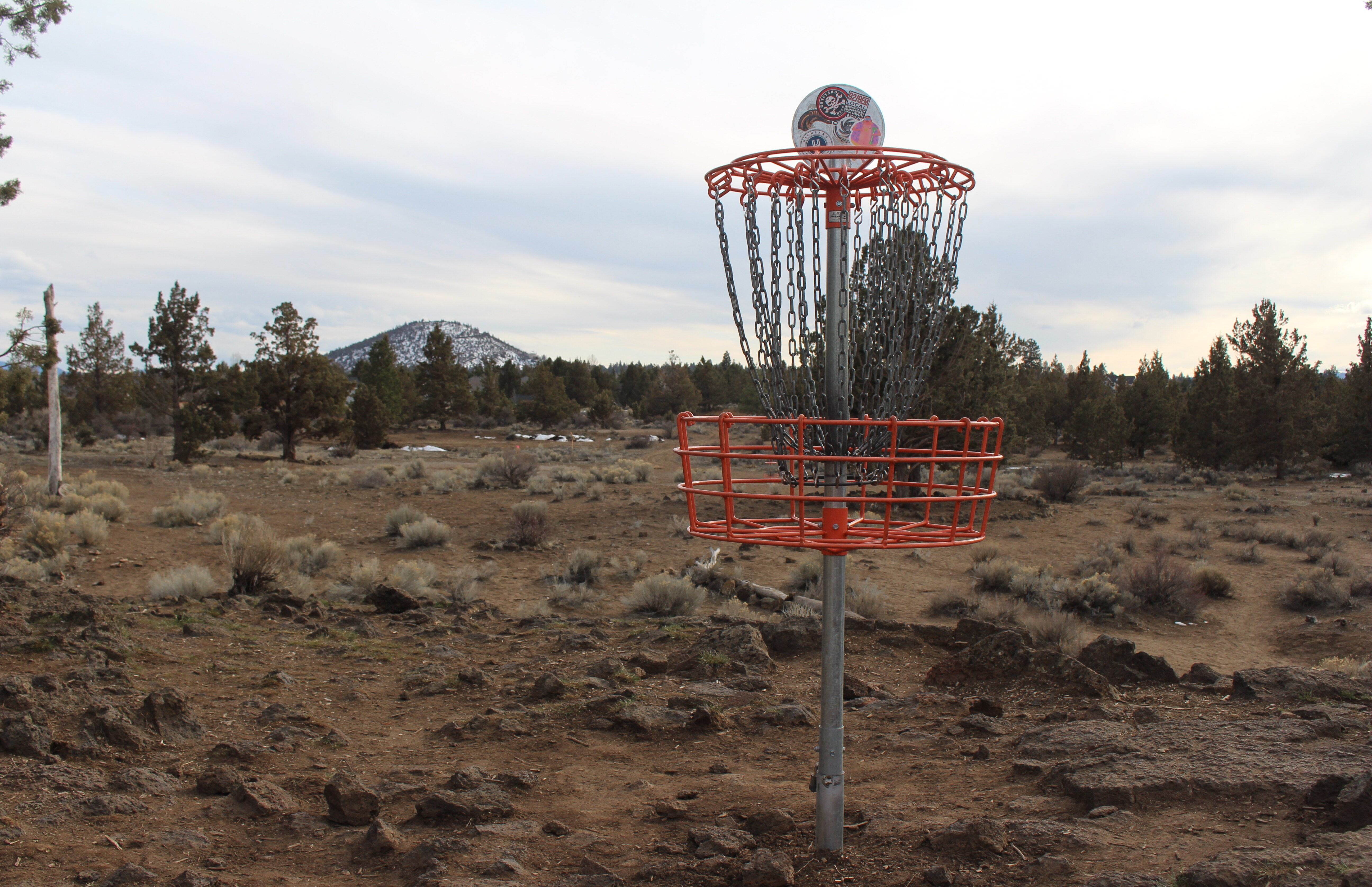 part of the disc golf park at pine nursery