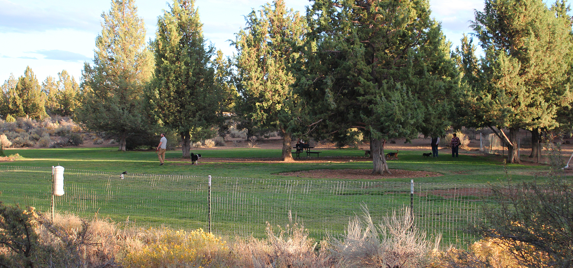 The off-leash dog park at Big Sky Park.