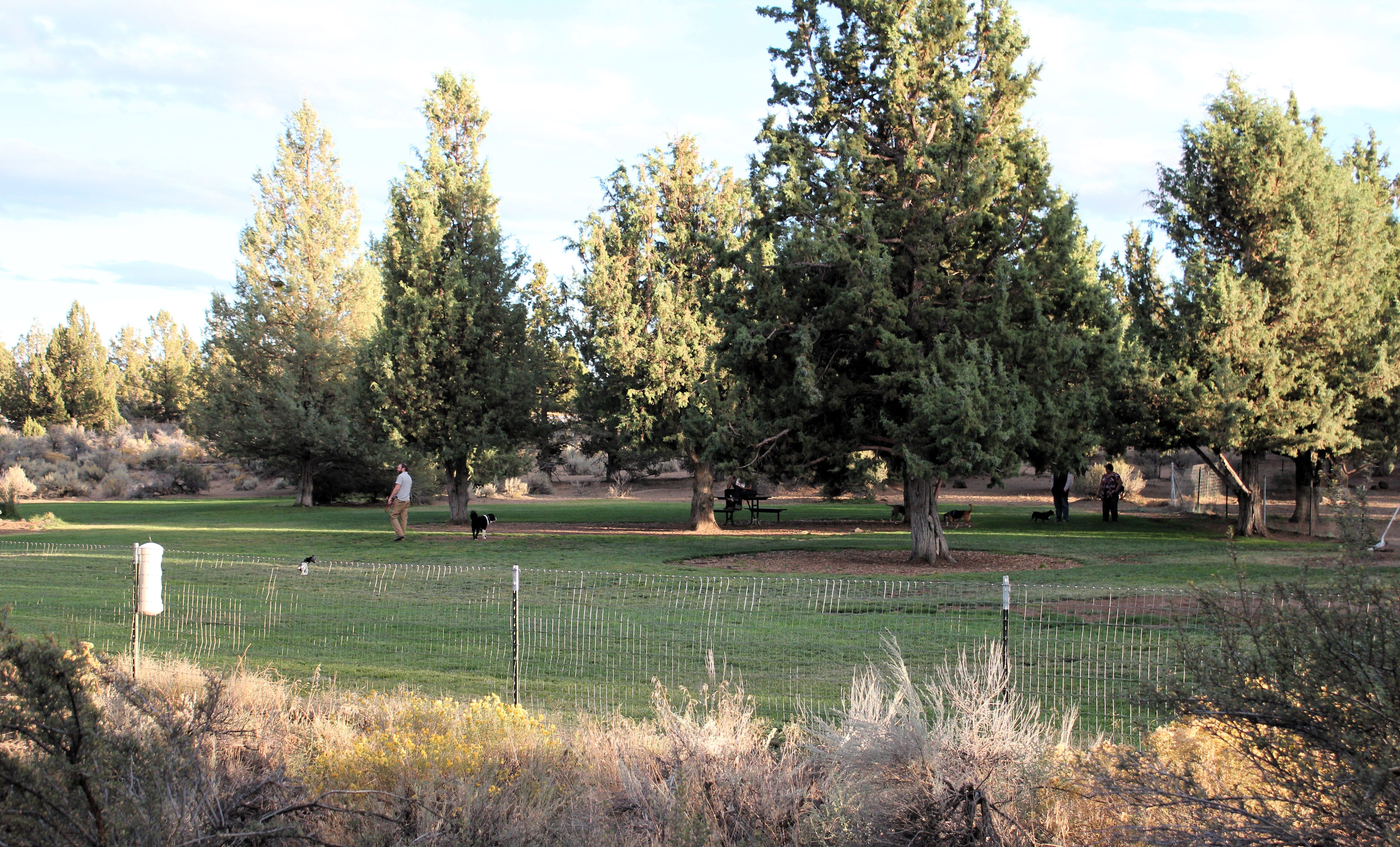 the off leash area at big sky park