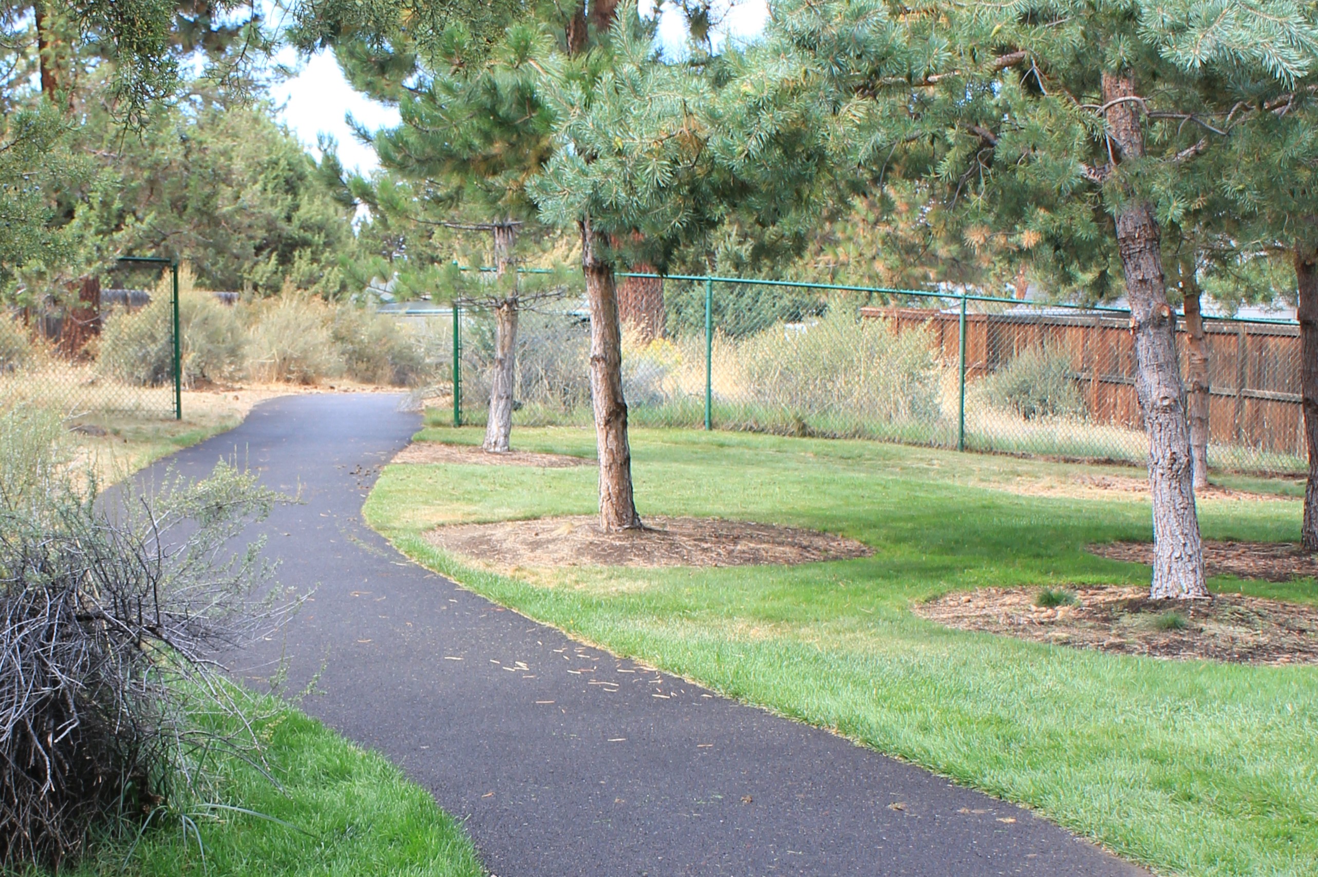 Photo of trail at Blakley Park