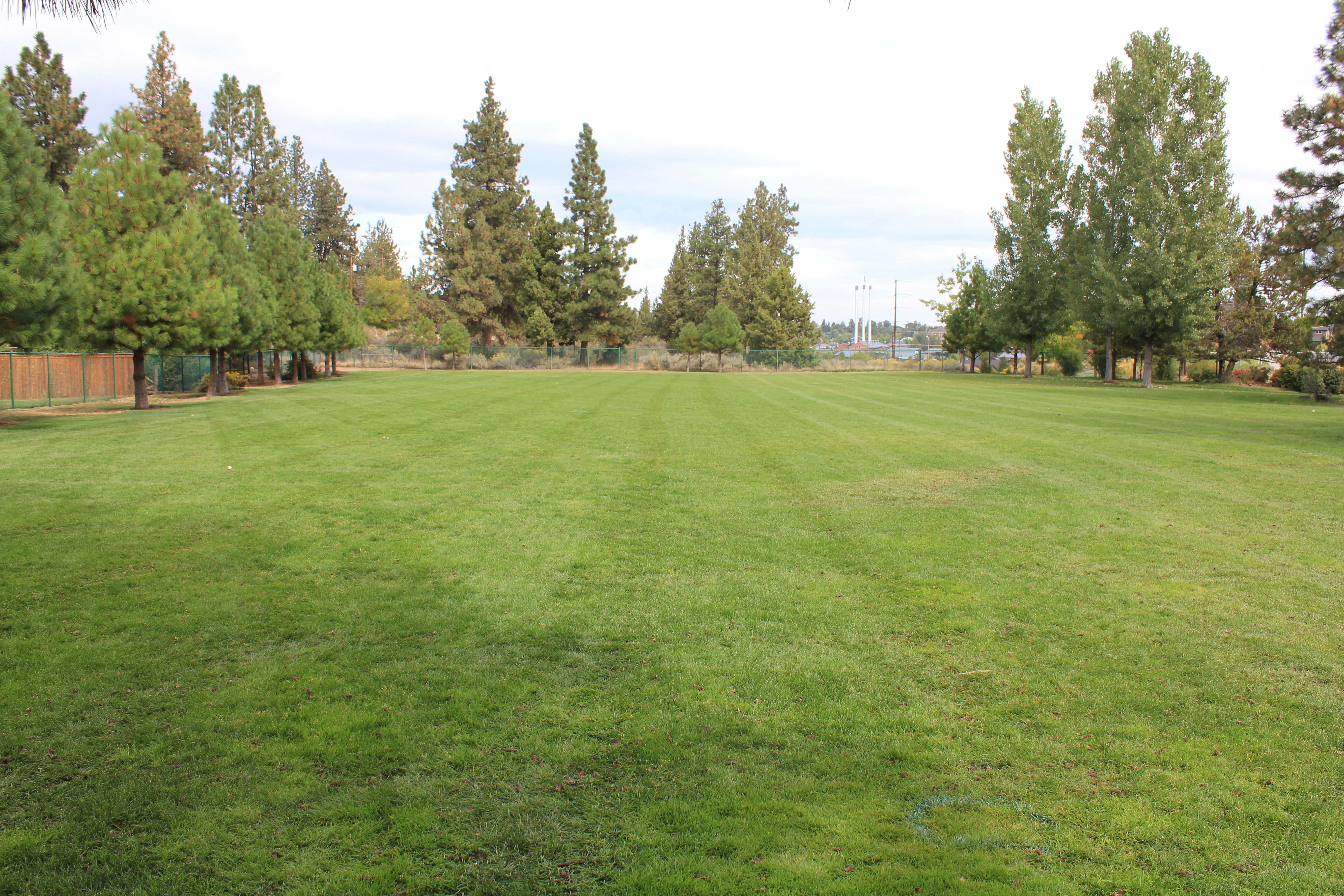 Grassy lawn at Blakely Park