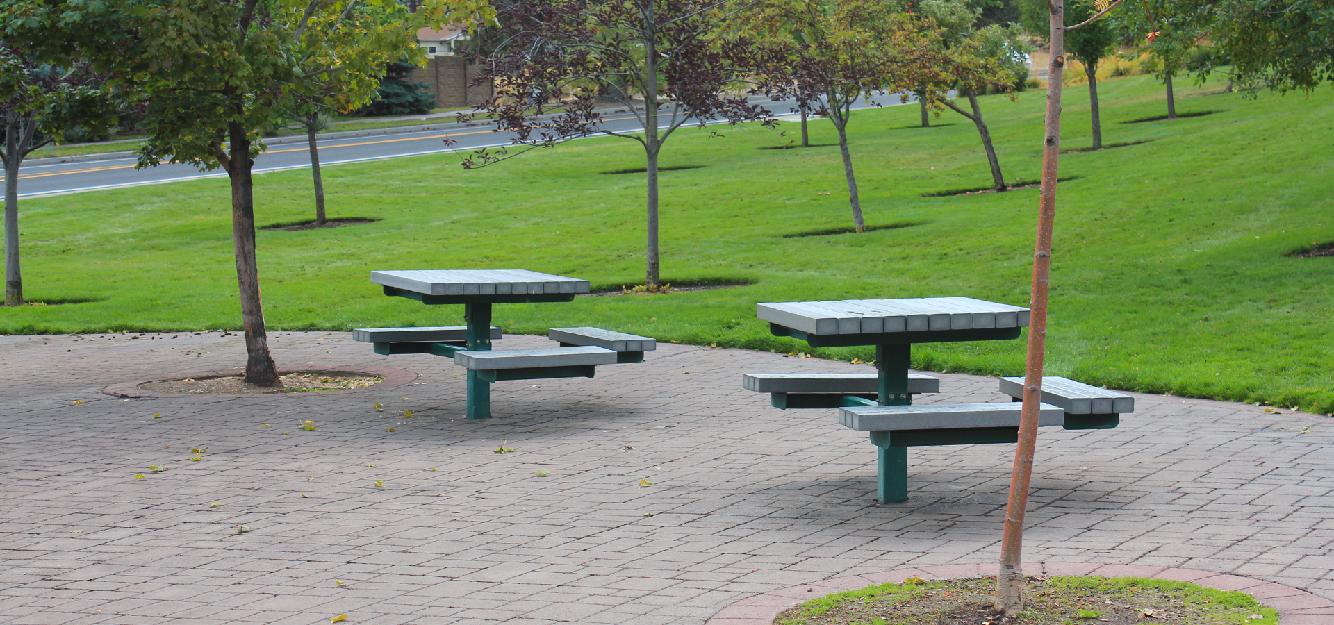 Blakely-Park-Picnic-Area