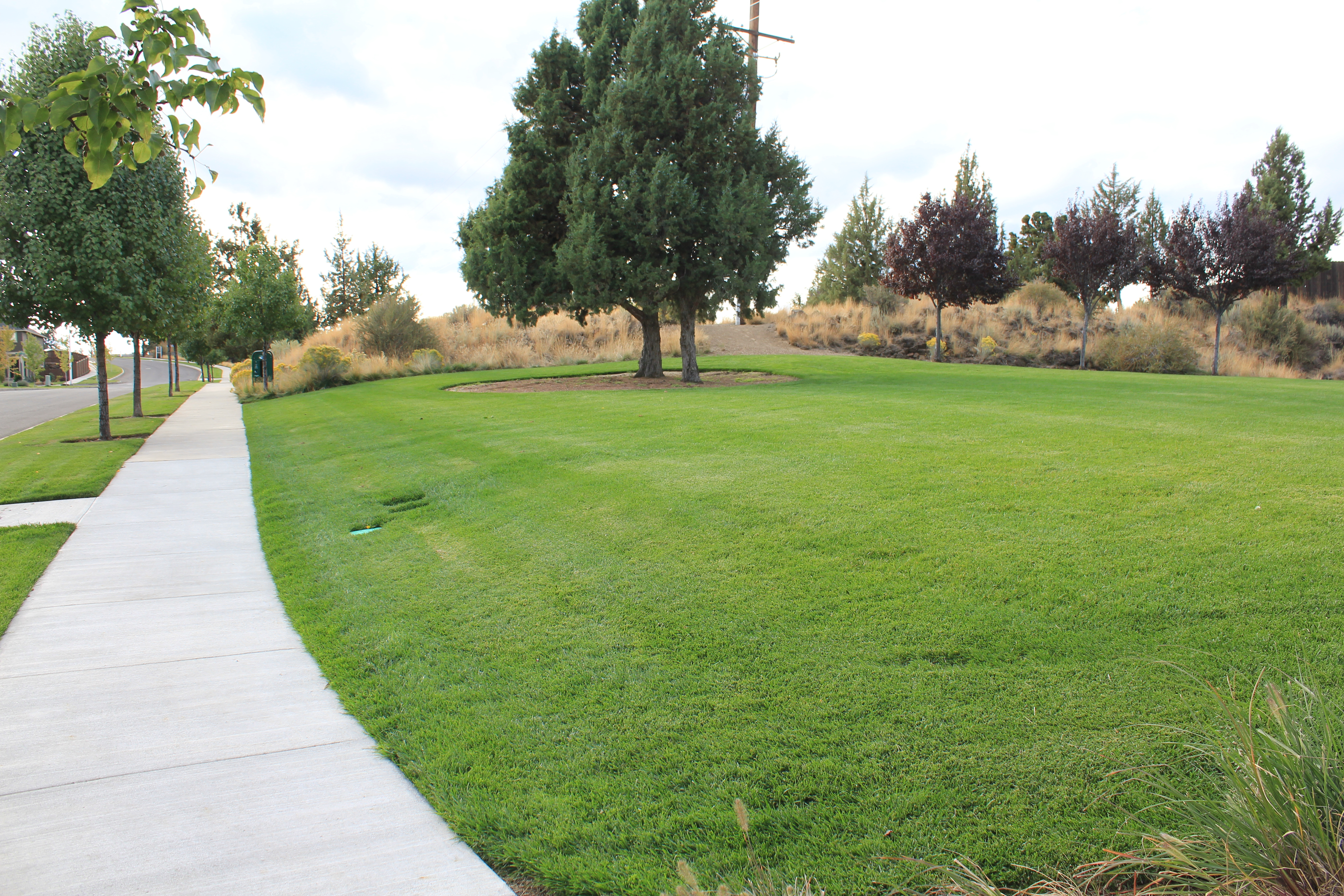 open lawn at boyd acres park