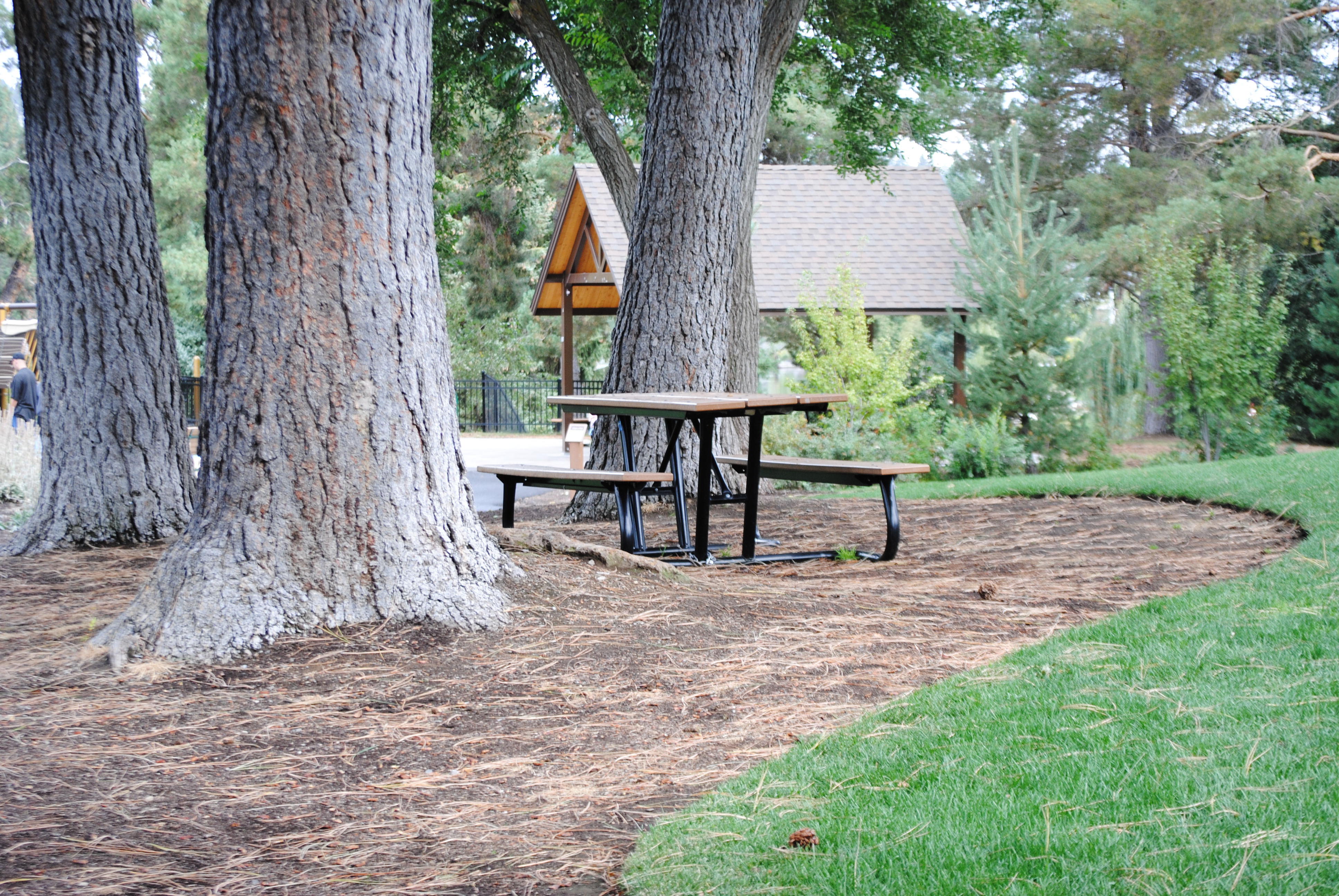 Columbia Park (15)
