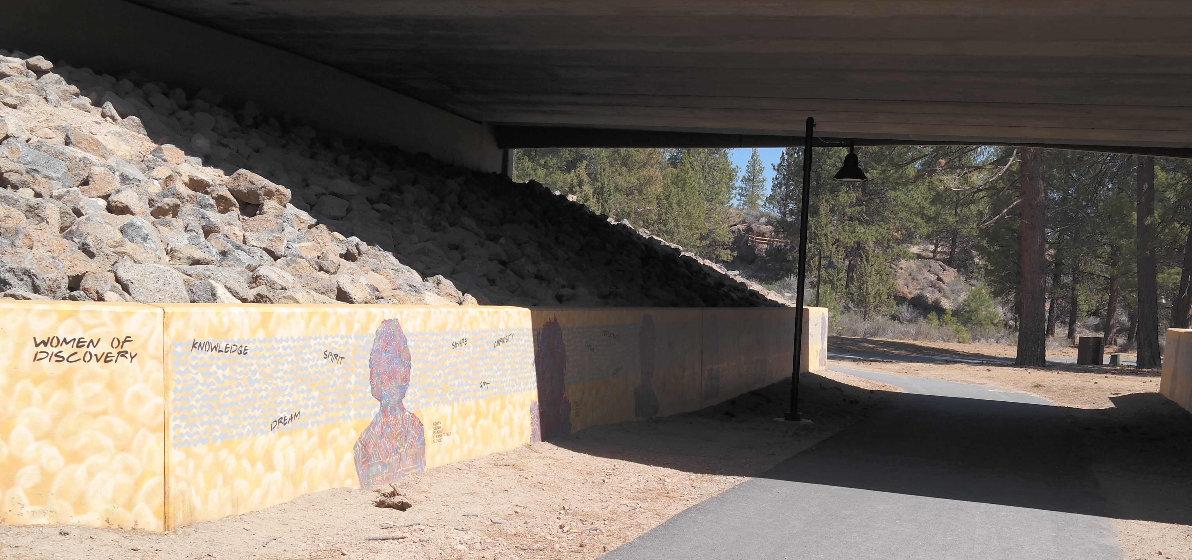 discovery park's underpass trail