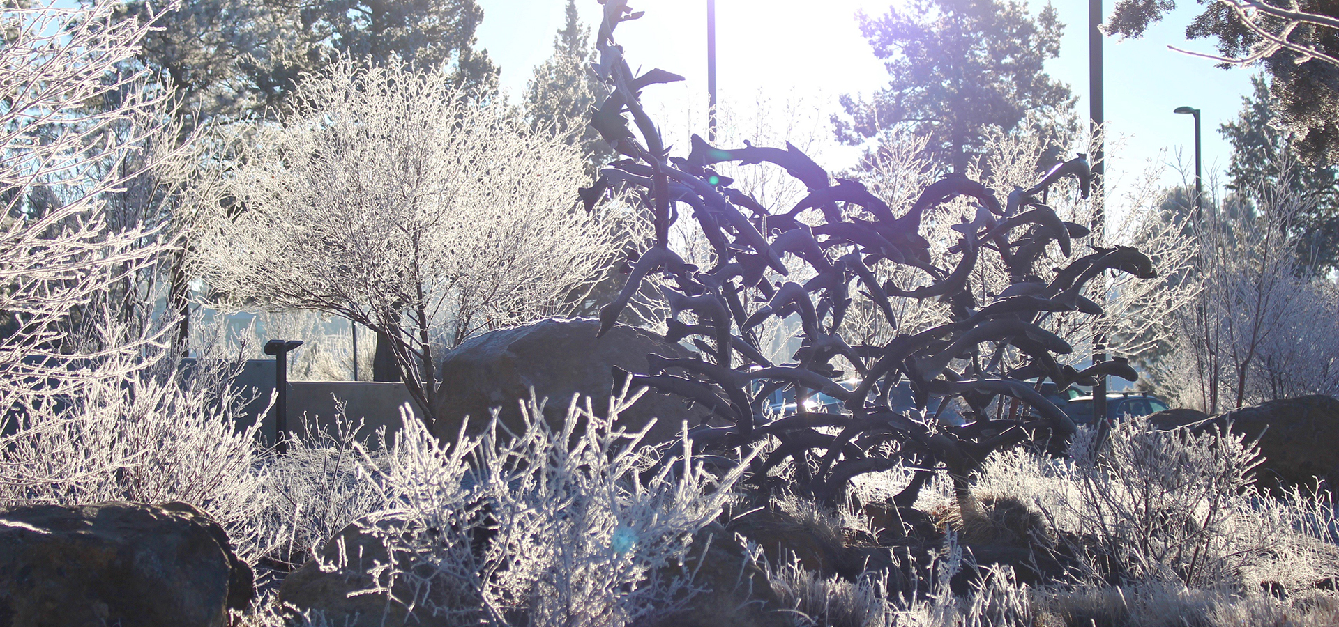 a salmon sculpture at the BPRD district office.