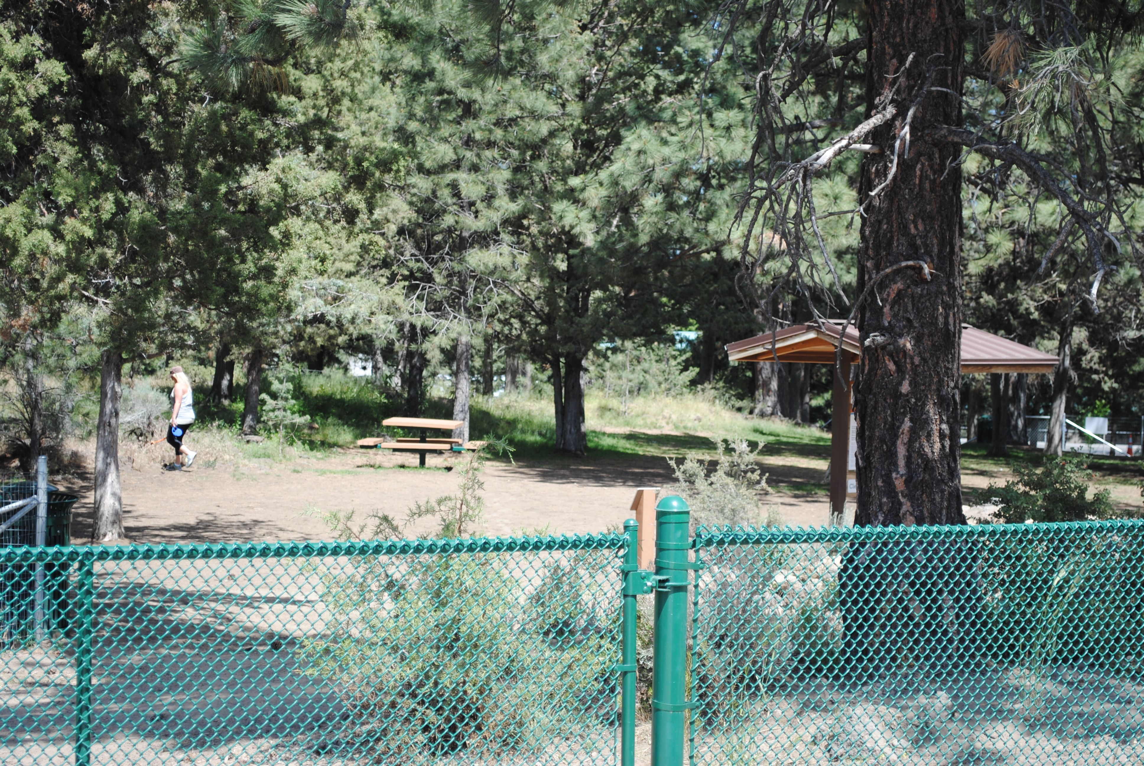 the off leash area at ponderosa park