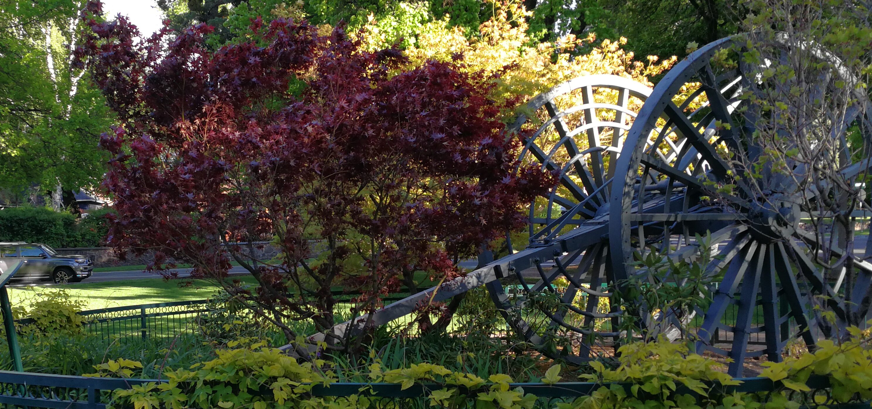 Drake Park Big Wheel