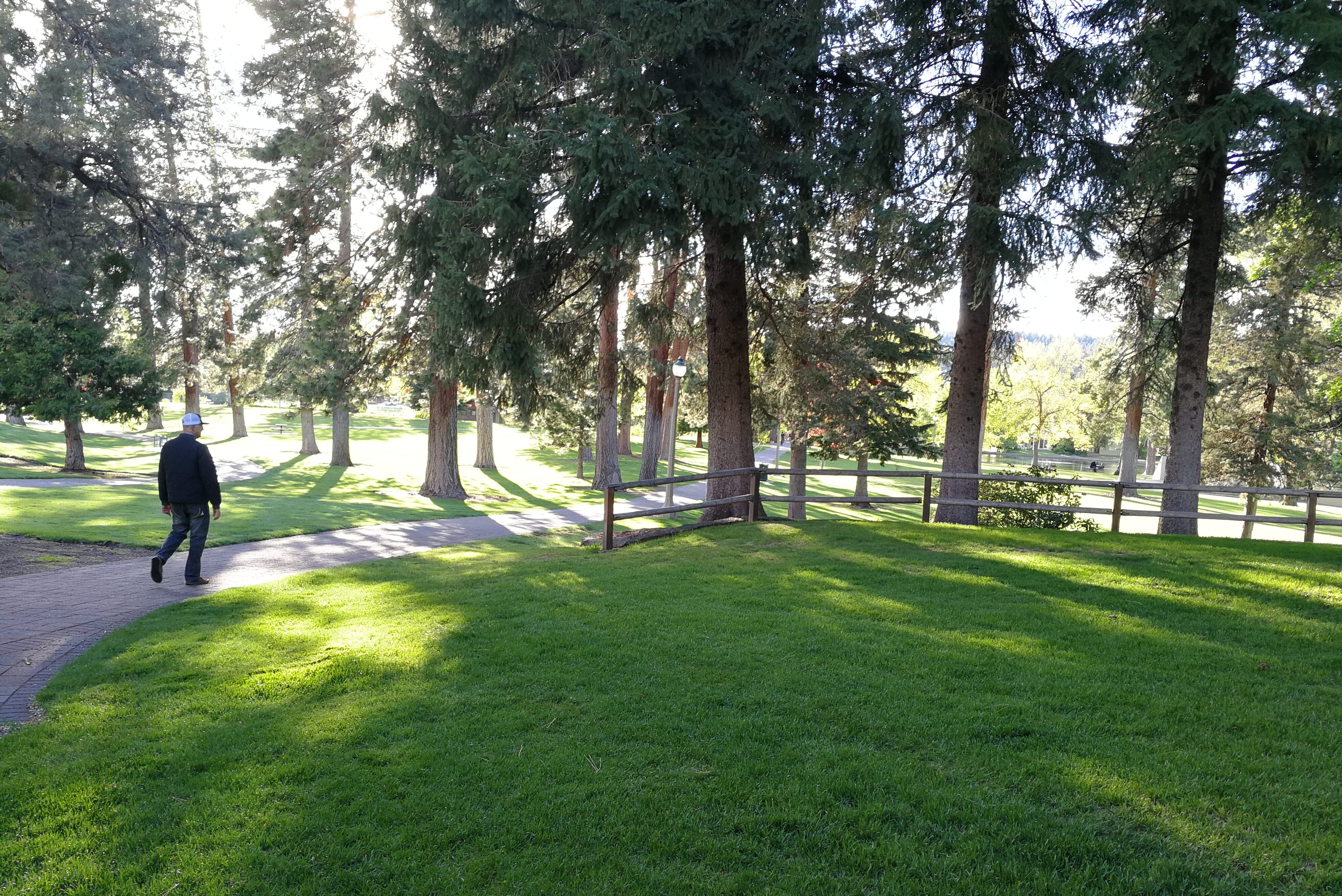 a man walks through drake park as sunlight streams through the trees