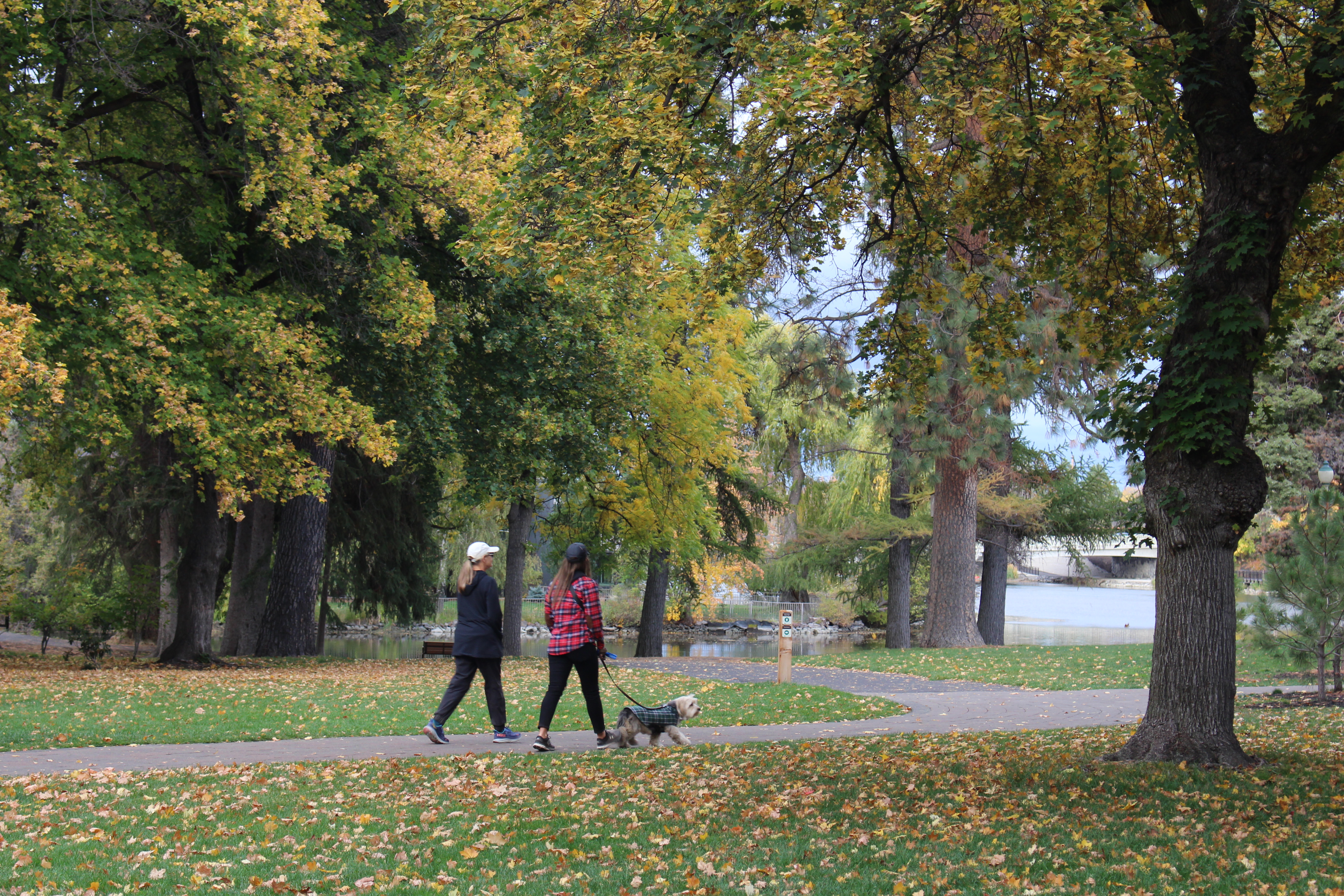 women walk through drake park with a dog on leash