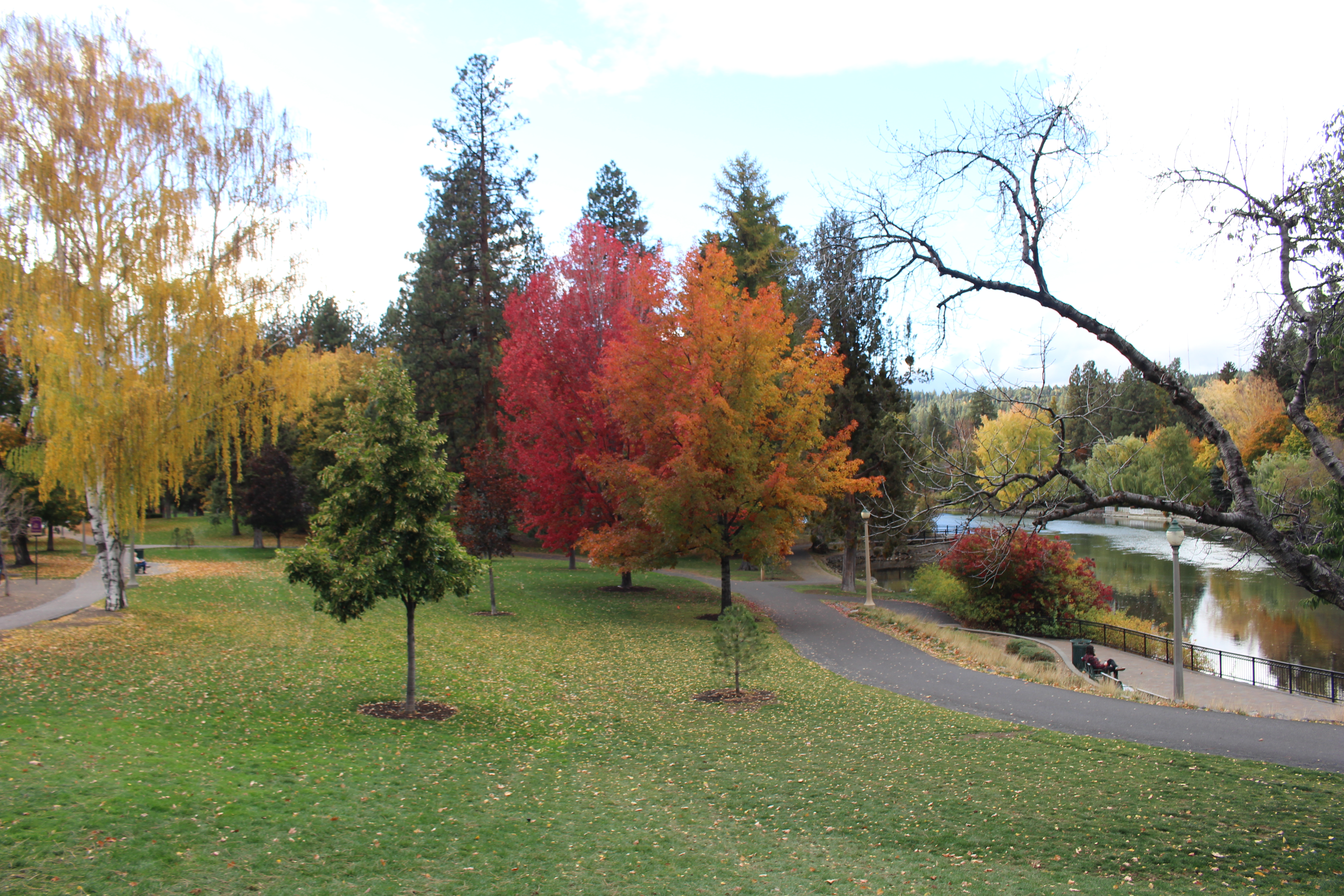 a view of the mirror pond viewing plaza