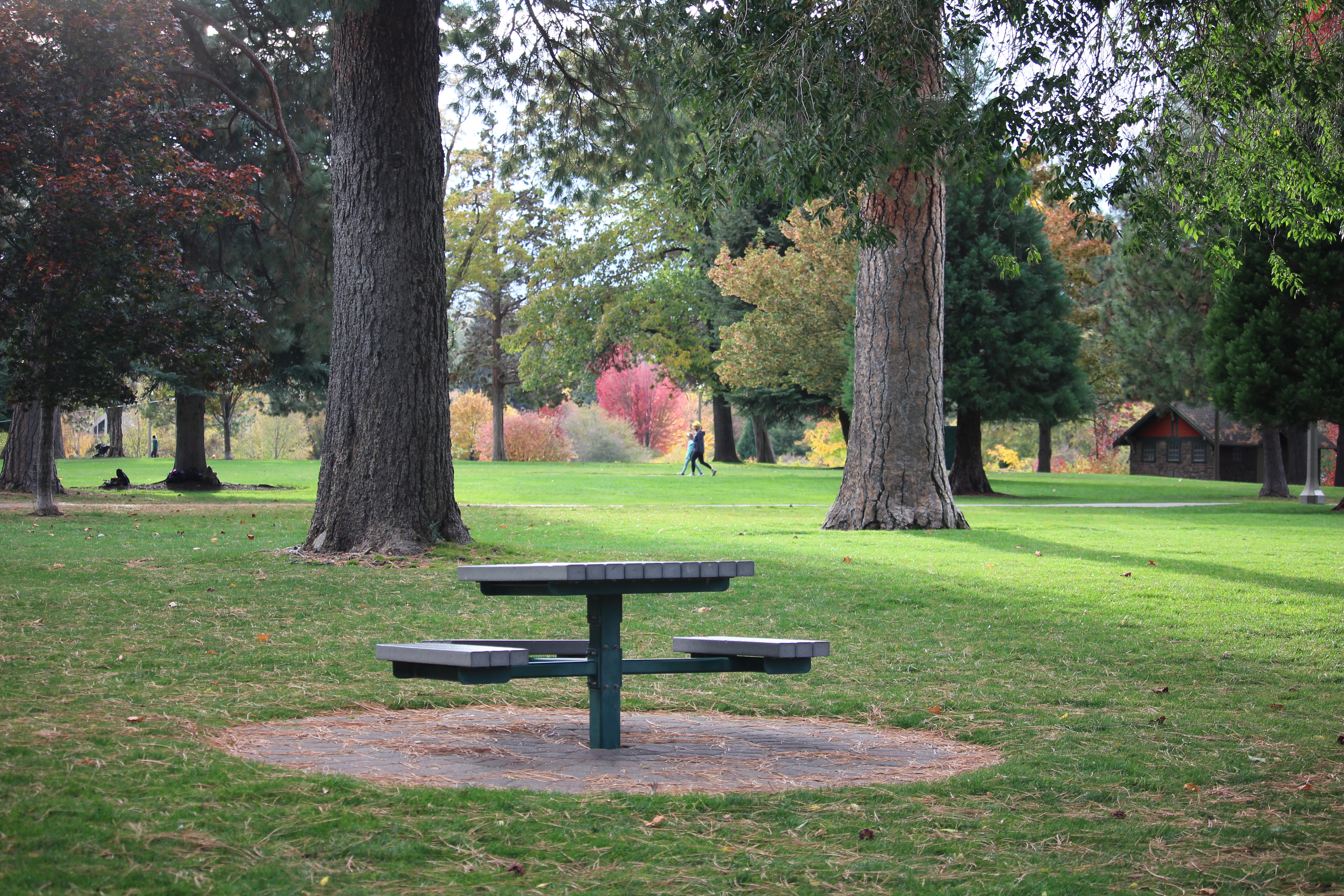 a picnic table under the mature trees in drake park