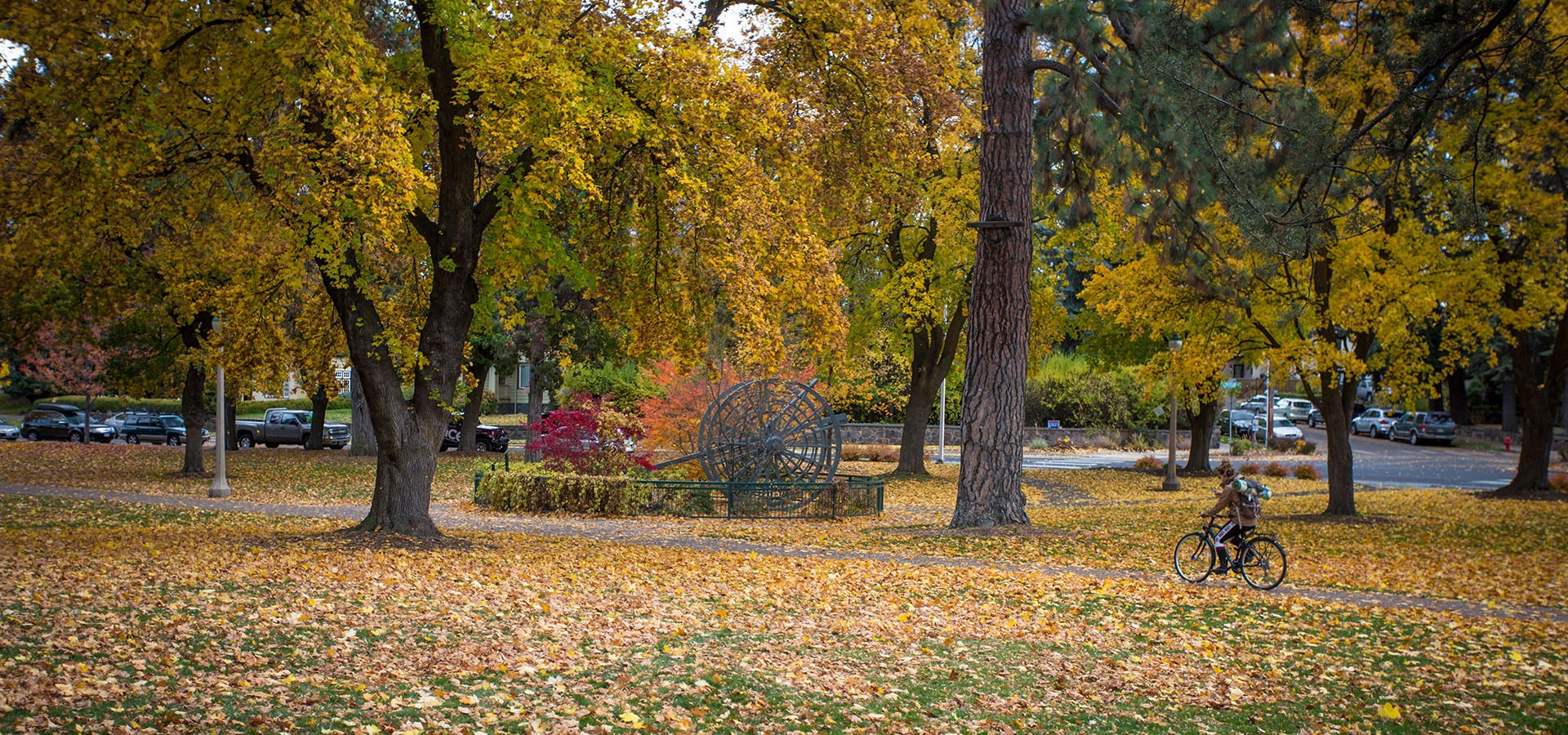 A cyclist riding on the path in Drake Park in the fall.