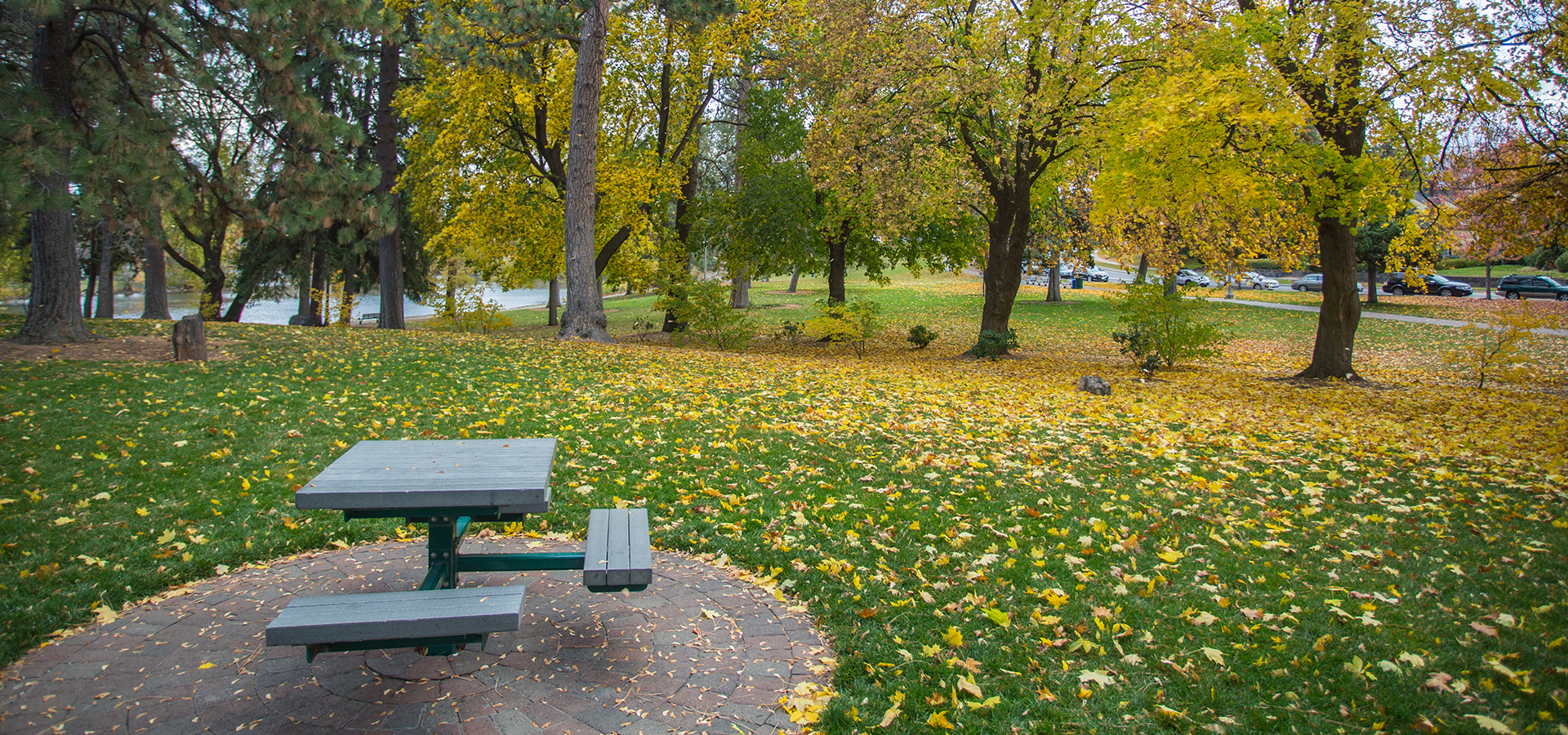 Drake Park in the fall.