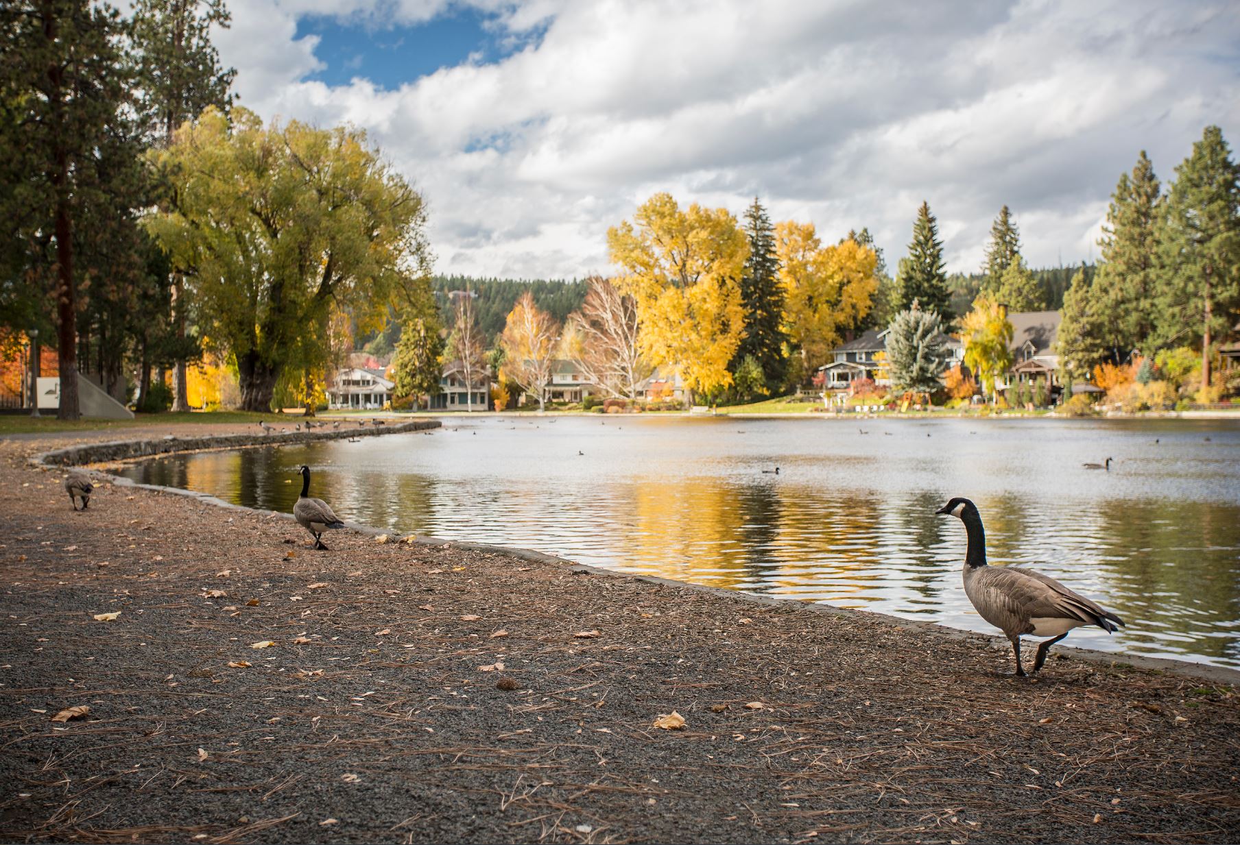 Fall Colors at Mirror Pond in Bend