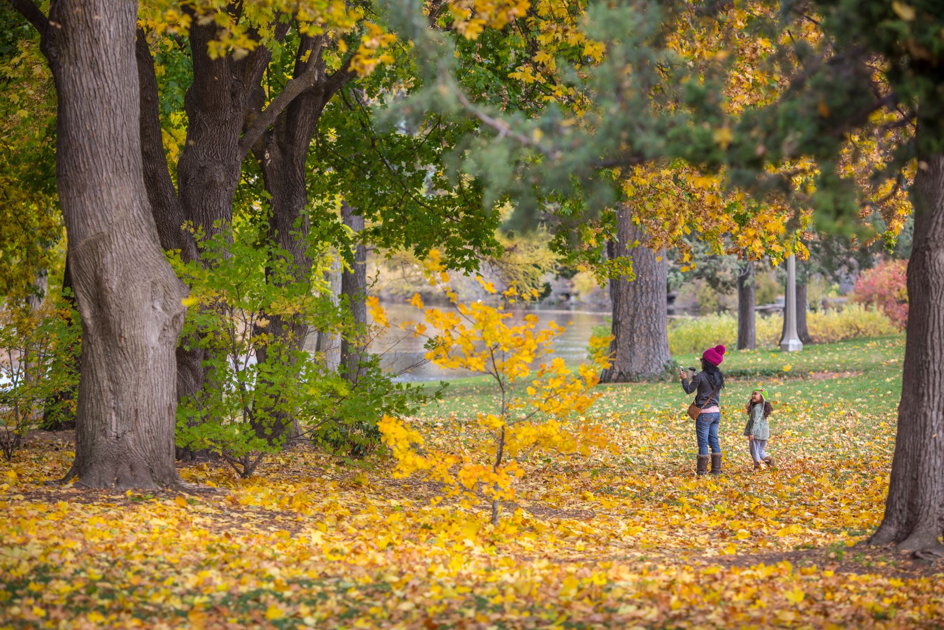 Fall Colors in Drake Park in Bend