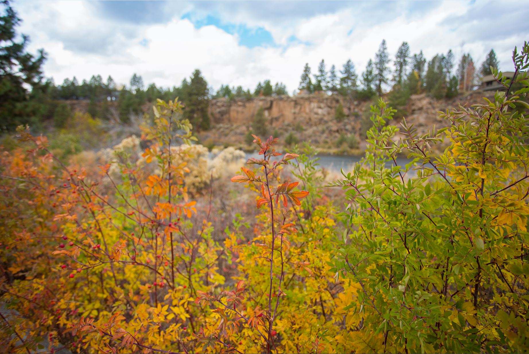 Fall Foliage in Bend Parks