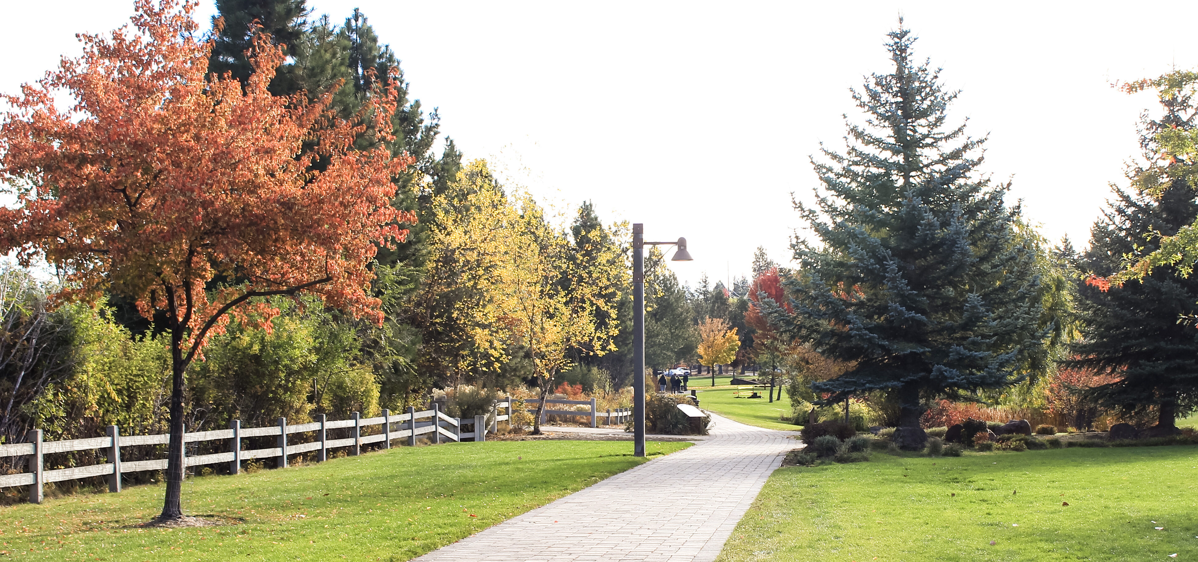 the walking path at farewell bend in the fall