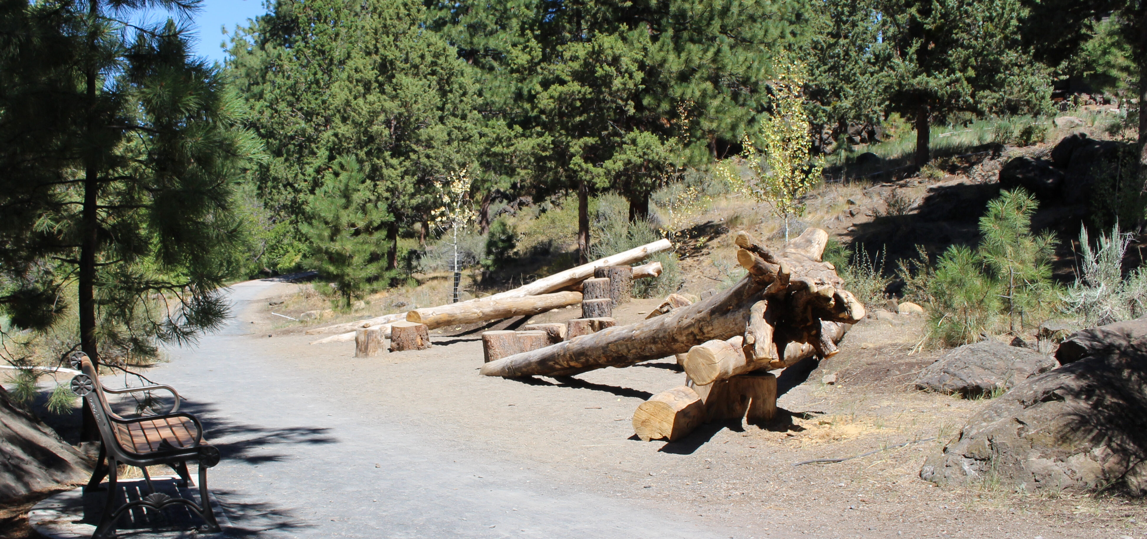 First Street Rapids Park nature play area