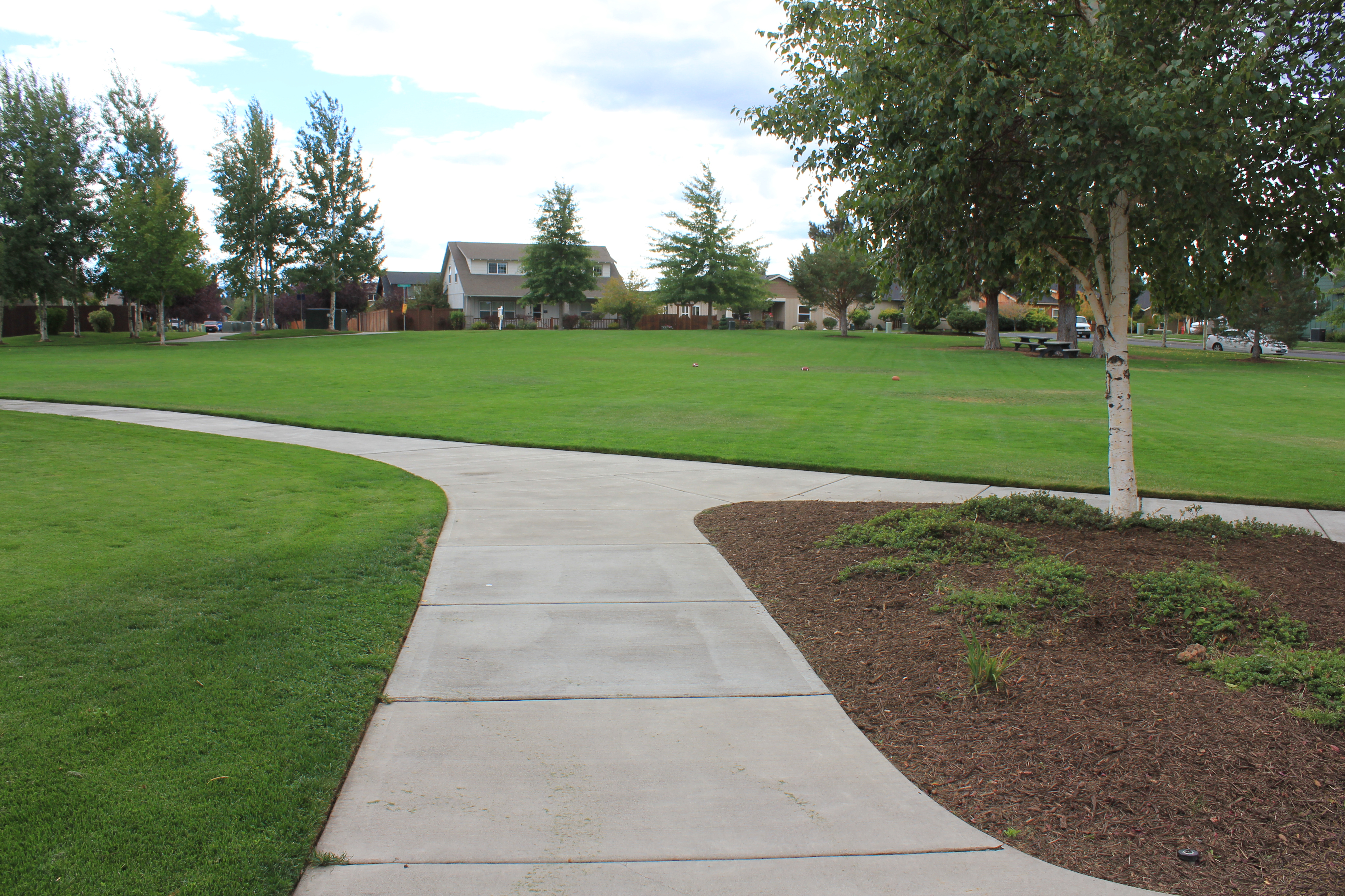 the large green space at foxborough park