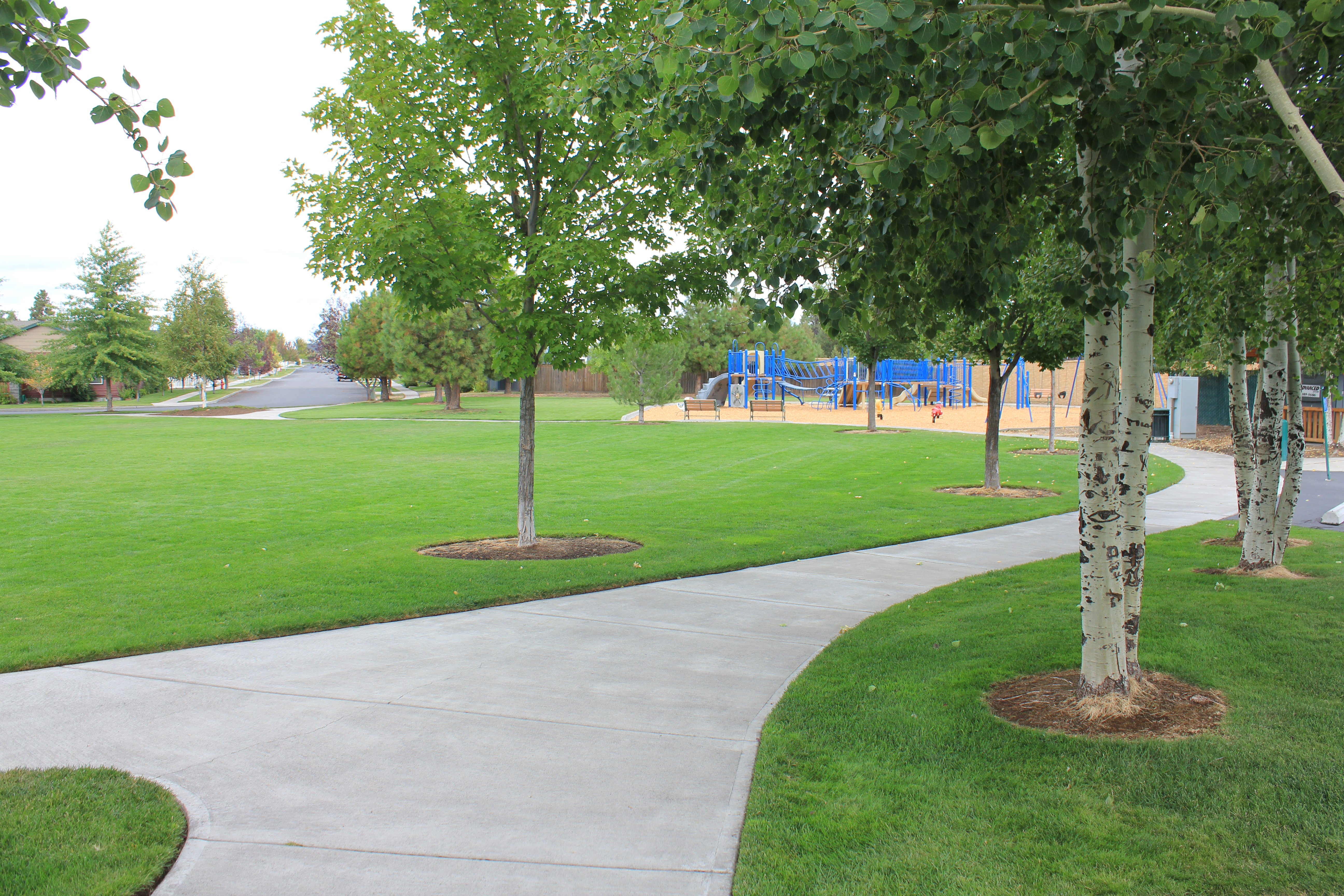 the large green space at foxborough park