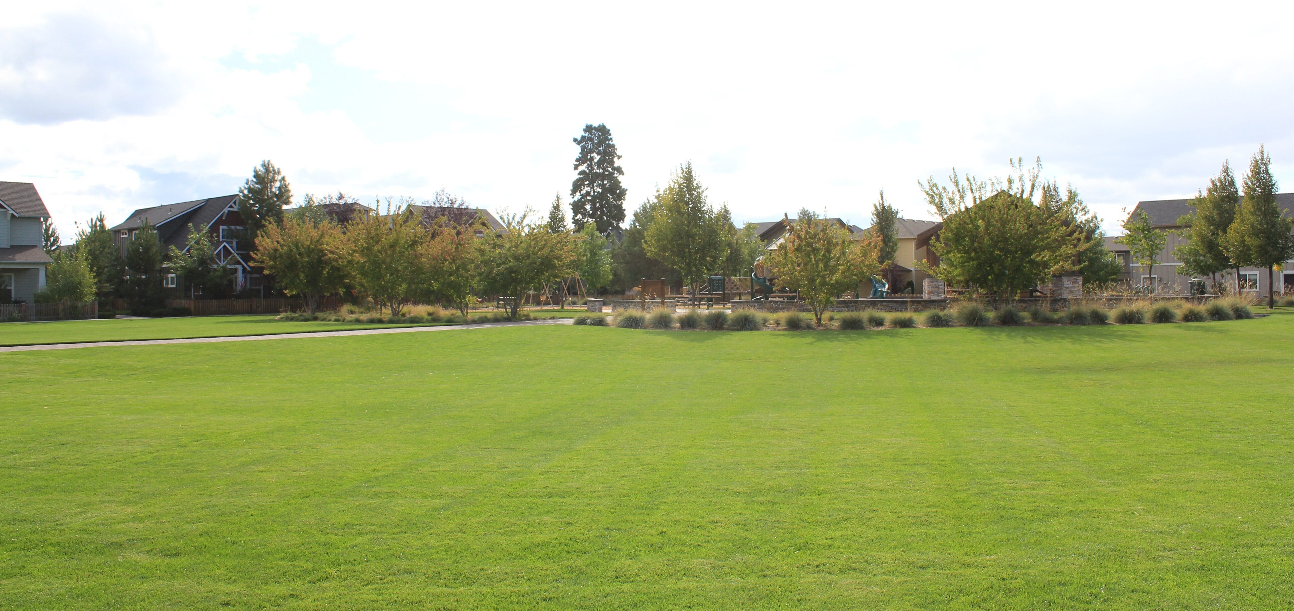 a green lawn area at Gardenside Park