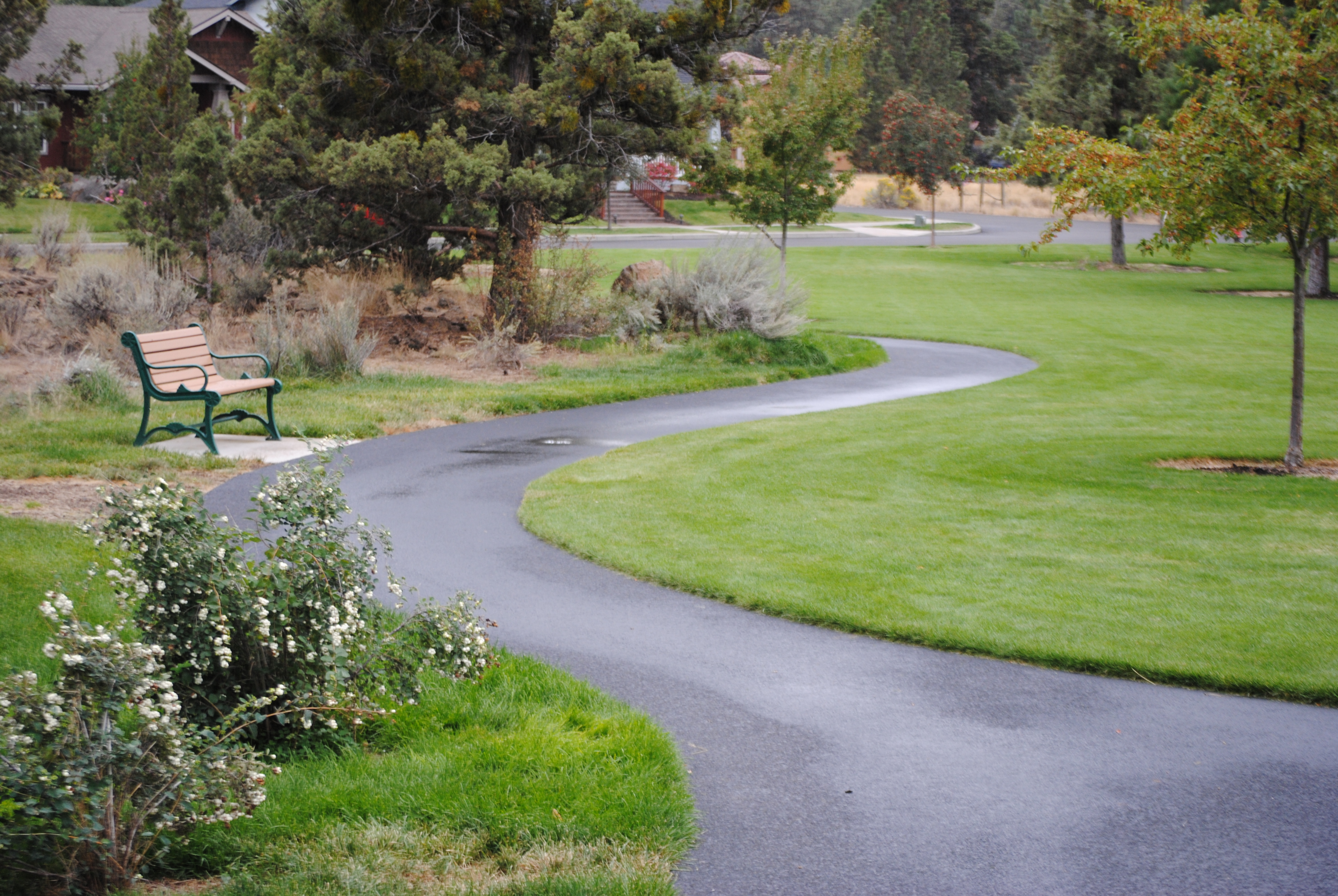 the trail at harvest park