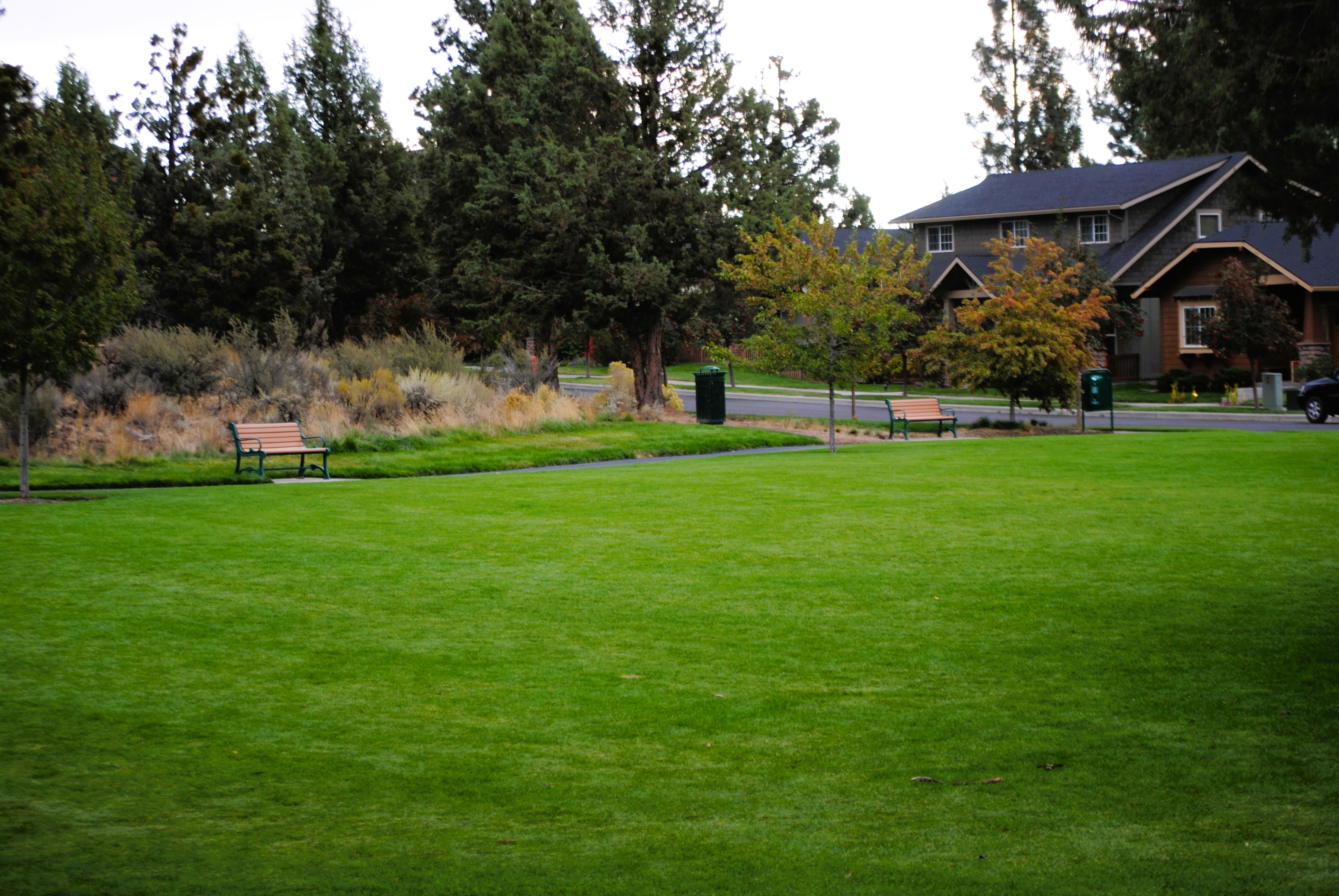 open lawn, benches, and the walking path at harvest park