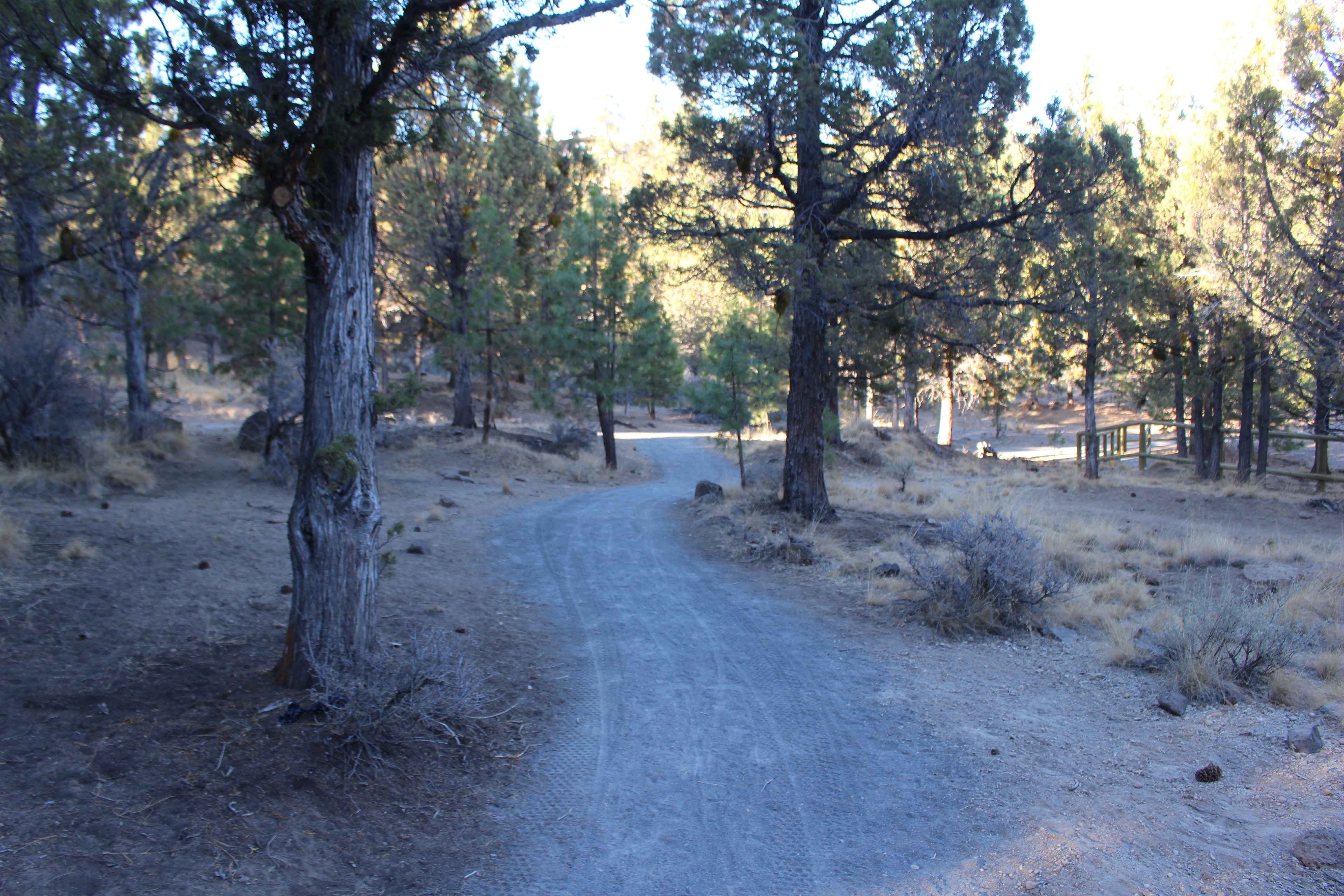 a trail at hillside park