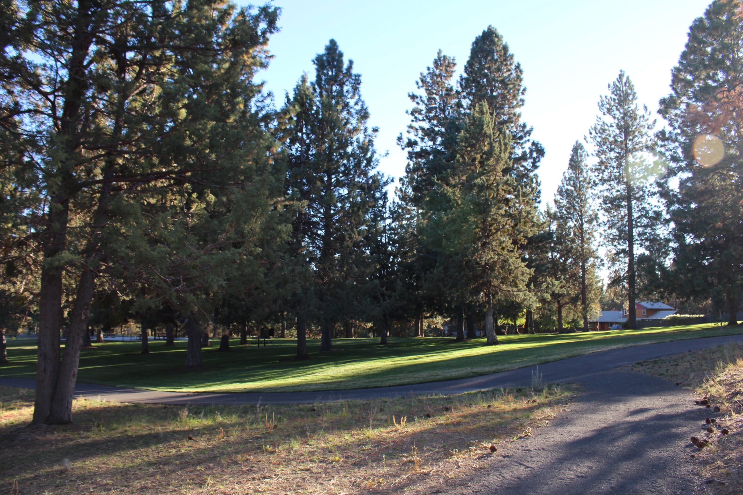 Hillside Park