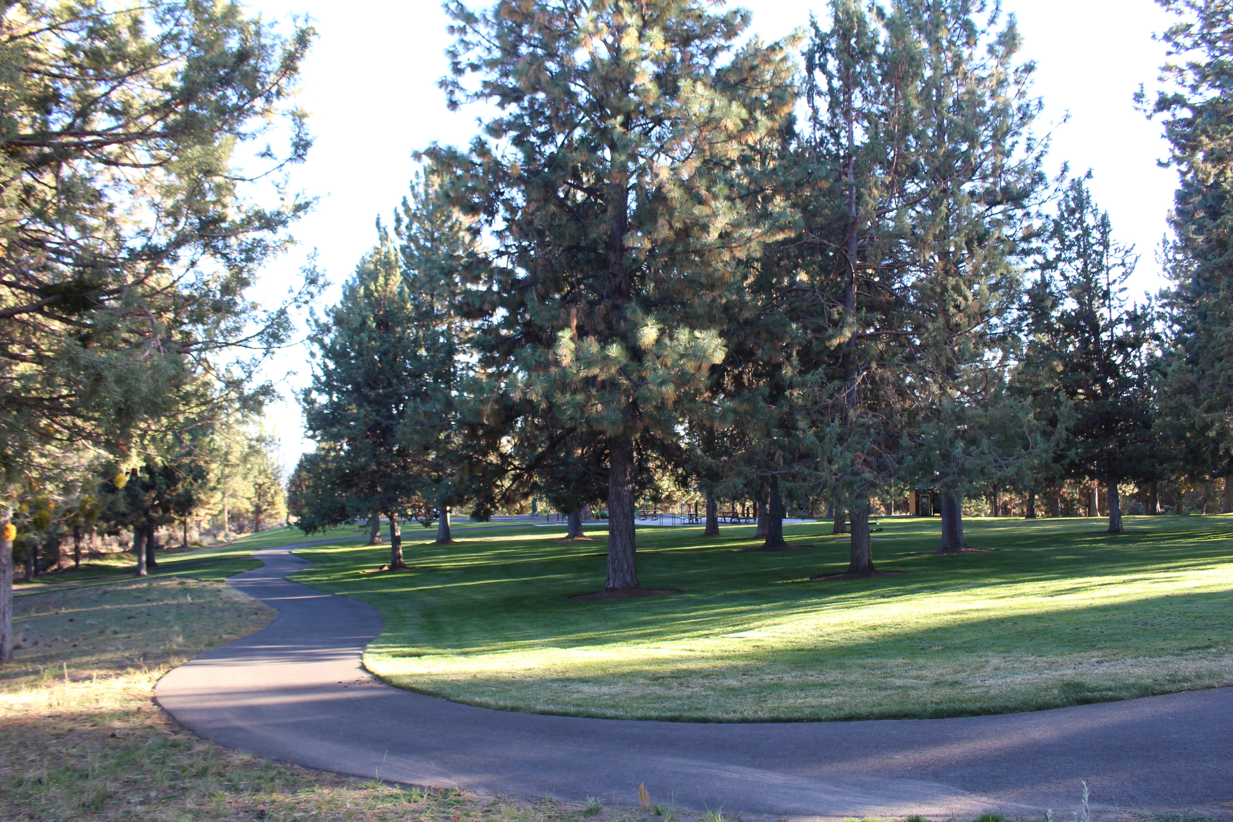 a paved trail at hillside park