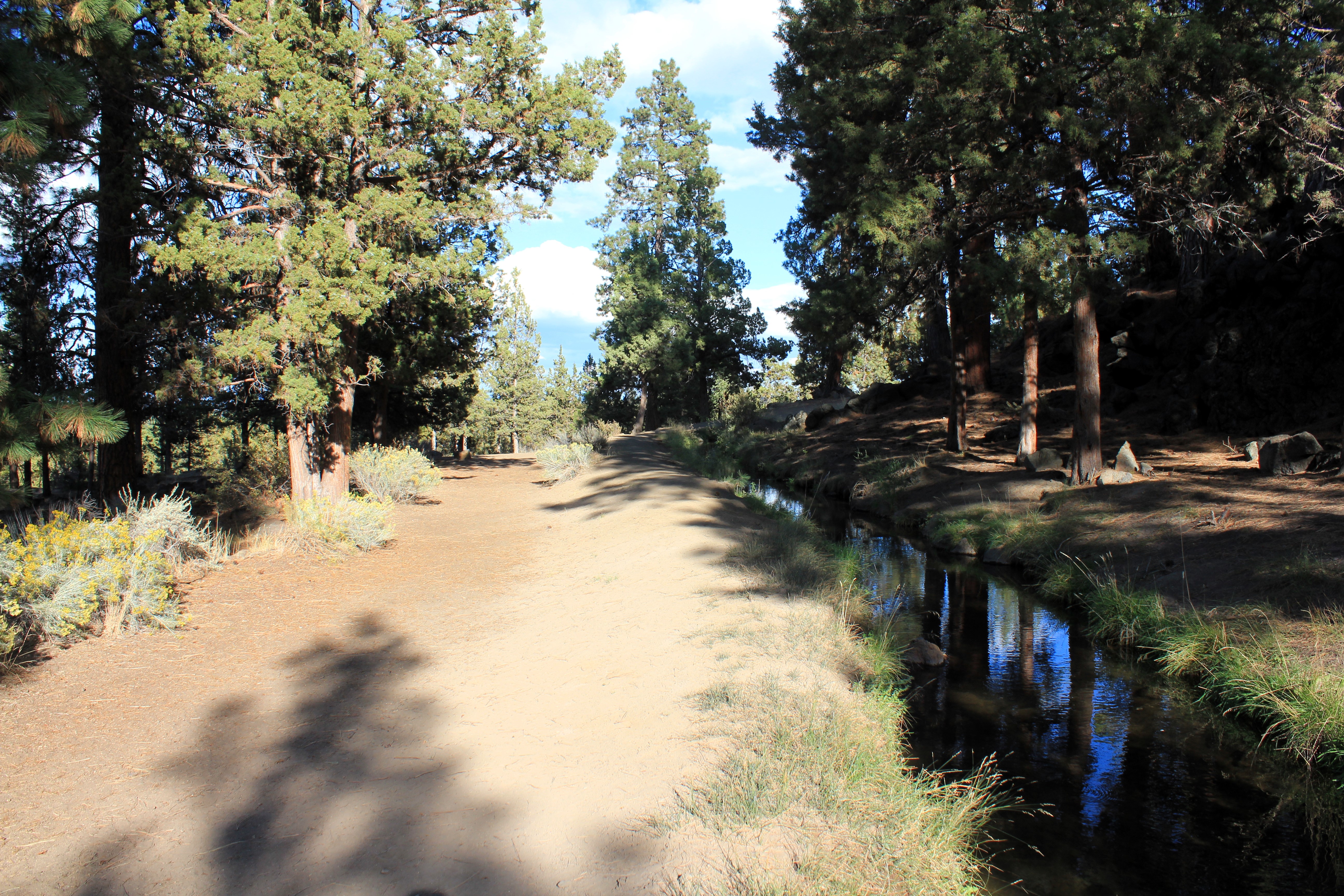 the upper trial along the canal at hollinshead park