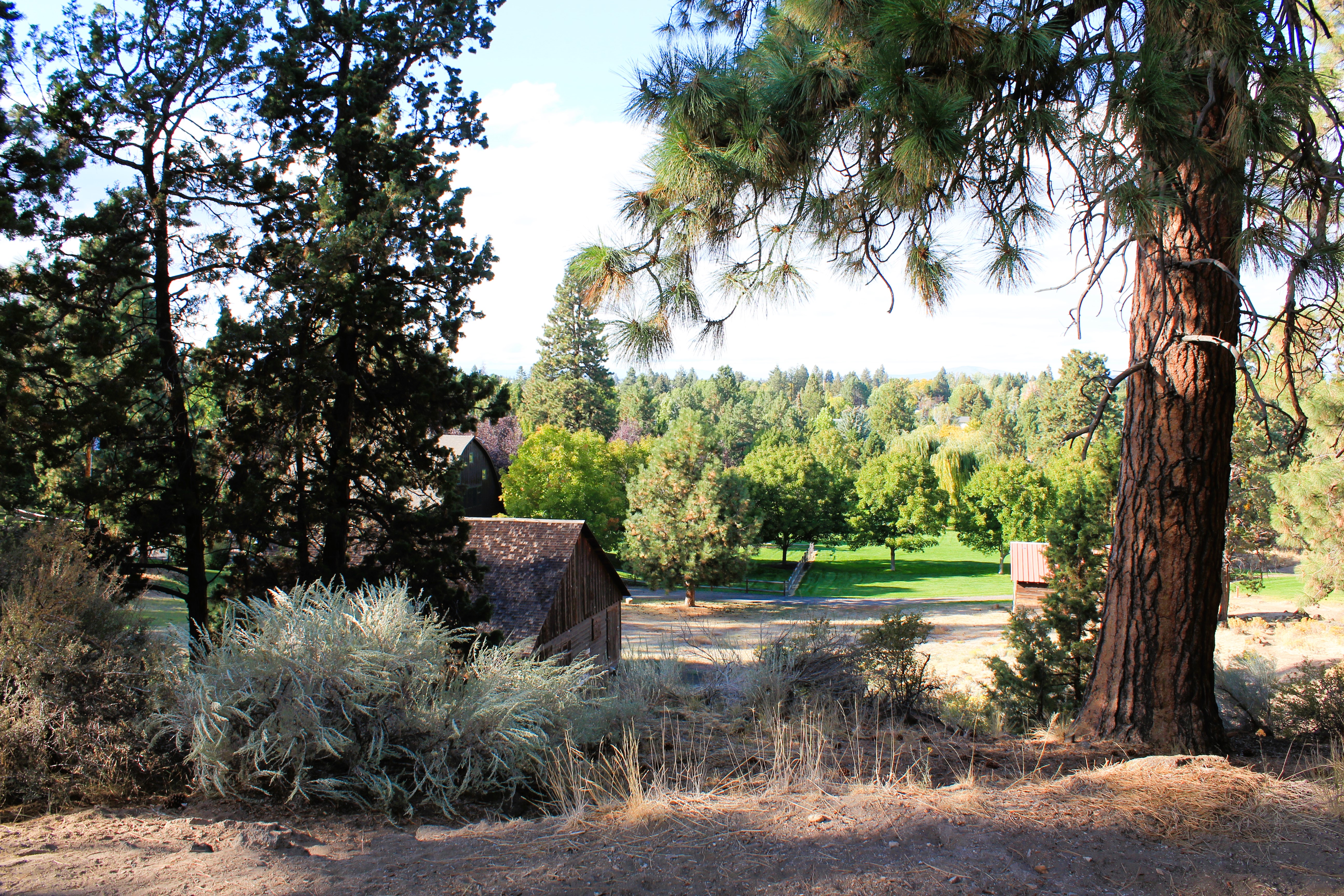 a view of hollinshead park from the upper trail