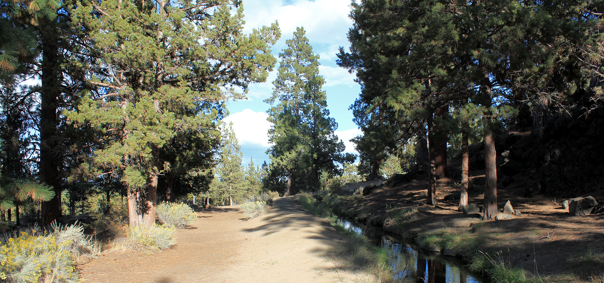 Hollinshead-Park-Unpaved-Trail