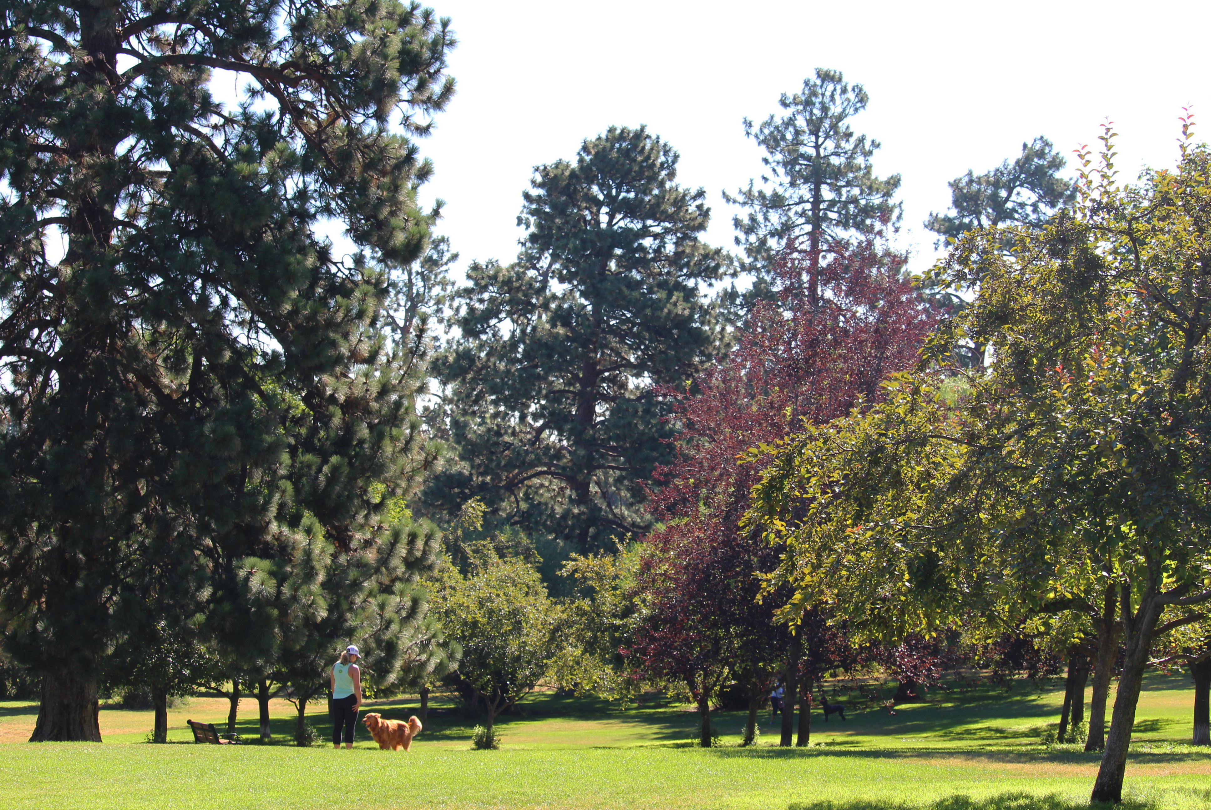 Hollinshead Park in Bend Oregon