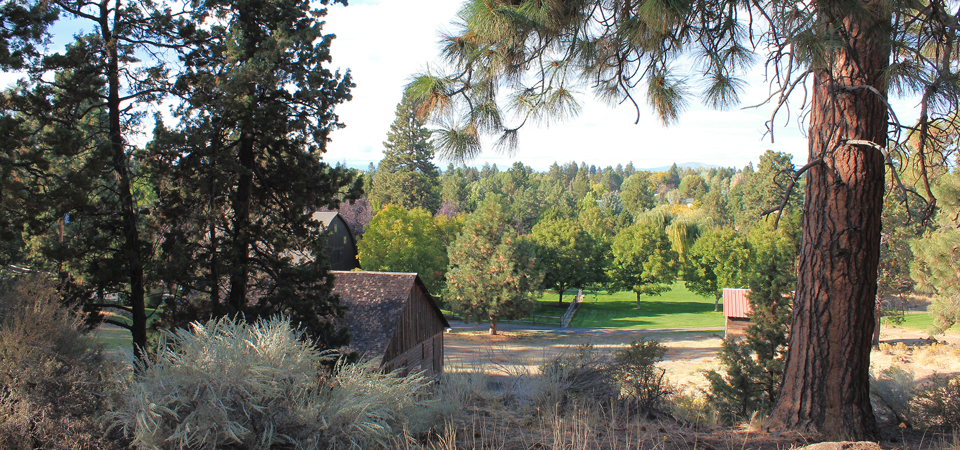 Hollinshead Park Bend Park And Recreation District