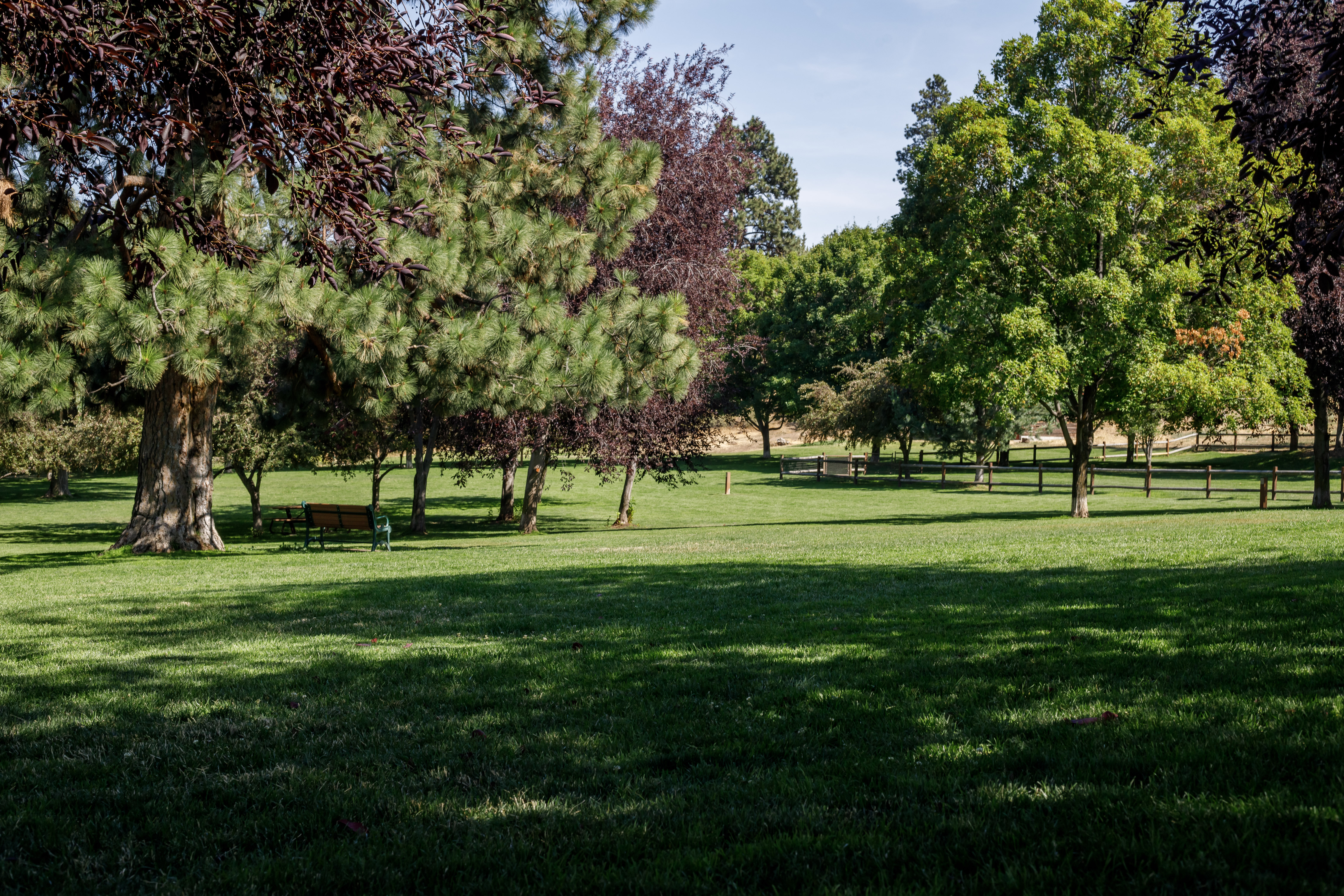 the off leash open lawn at hollinshead park