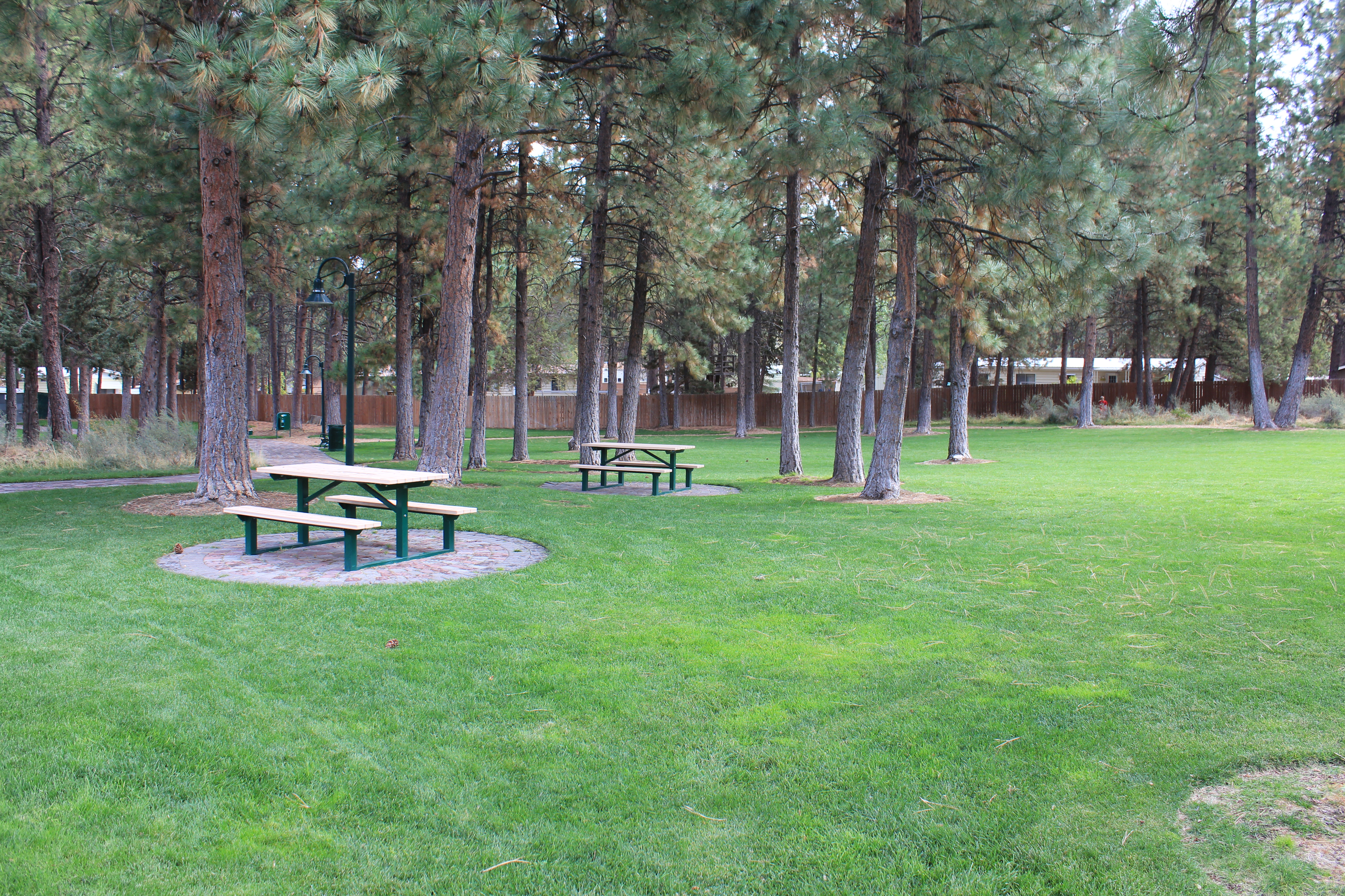 picnic tables among the trees at hollygrape park